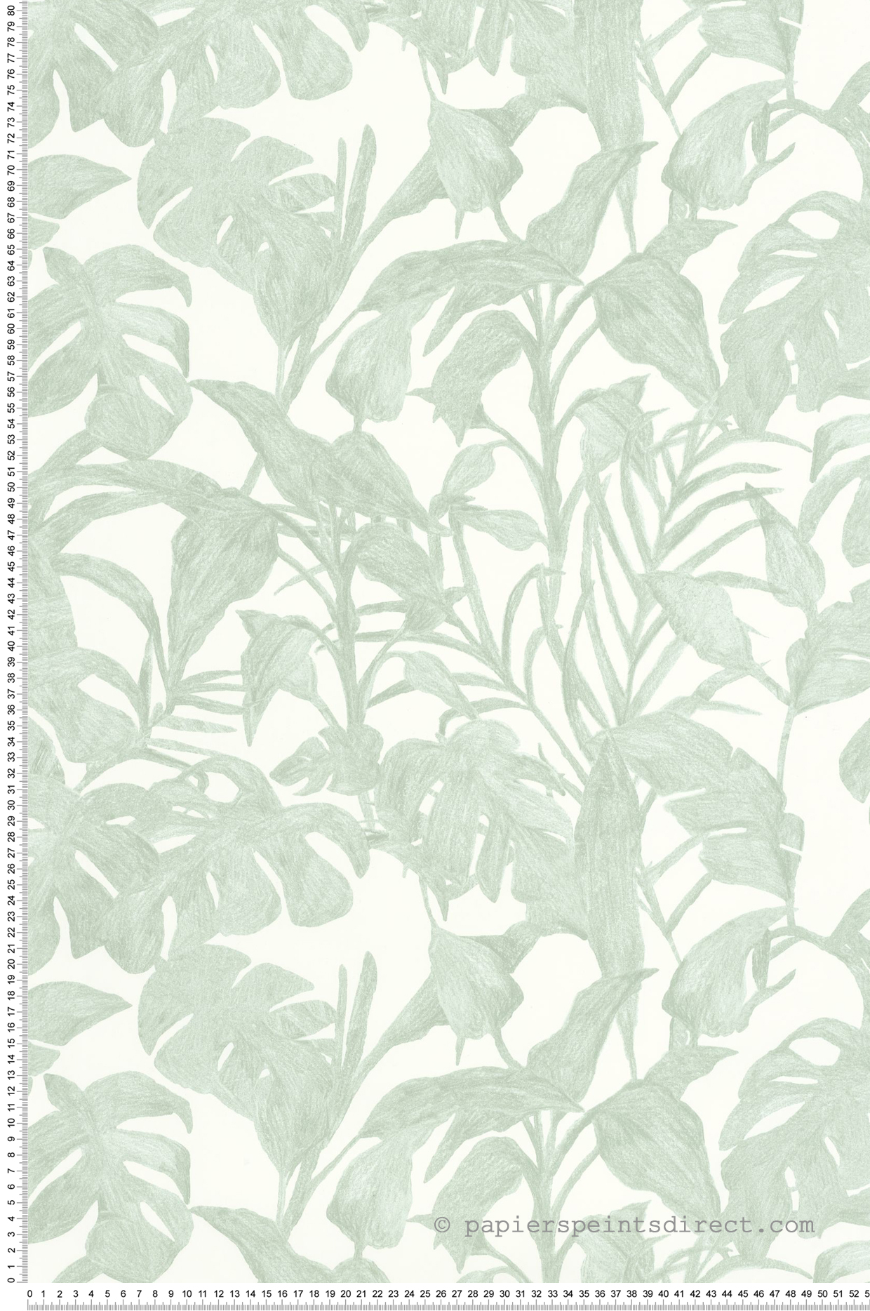 Papier peint Végétal Bogota vert d'eau - Green & Co de Casélio | Réf. GCO103870788