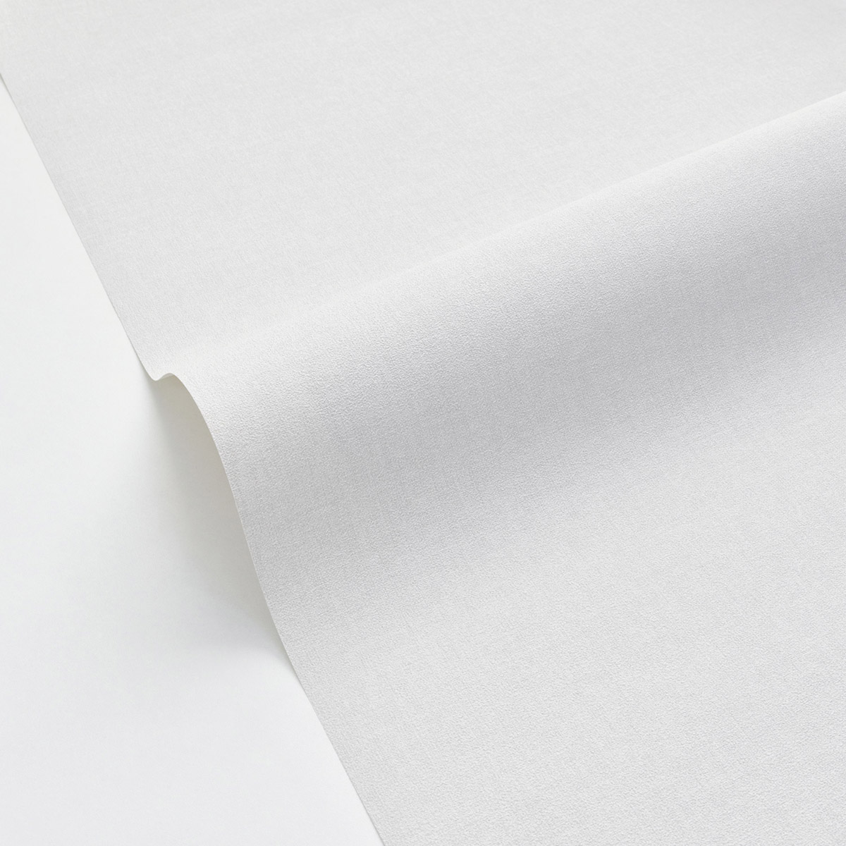 Papier peint Uni gris clair - Basics de Casélio | Réf. BAI64529626