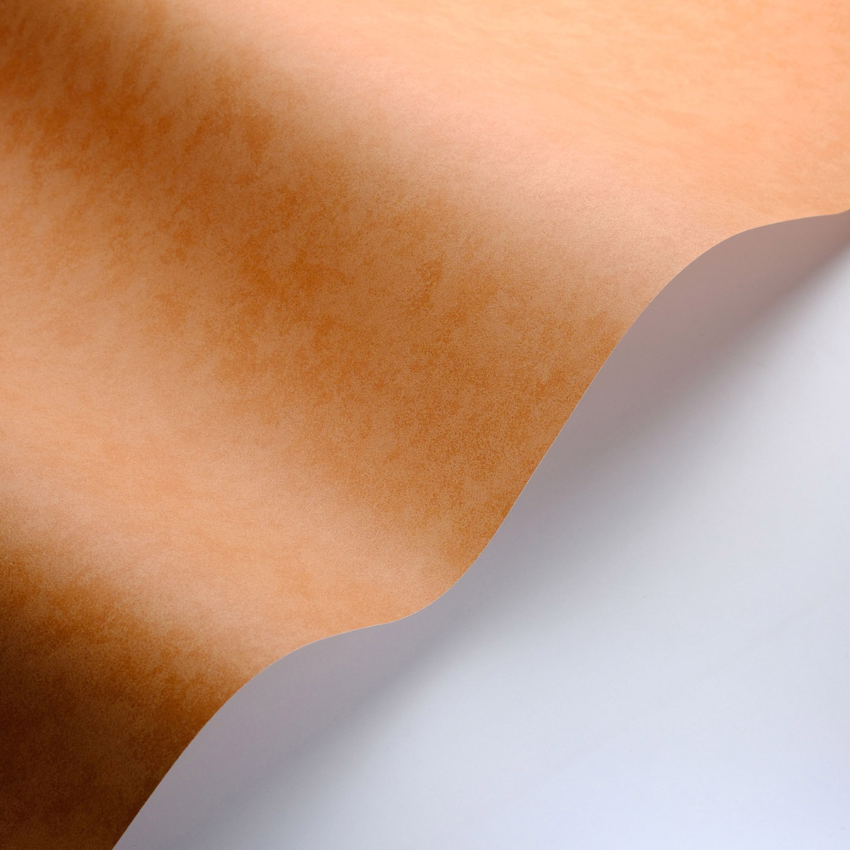 Papier peint Uni Buvard Vallauris orange - Echappée Belle de Casadéco AMB3| Réf. ECHA89853535