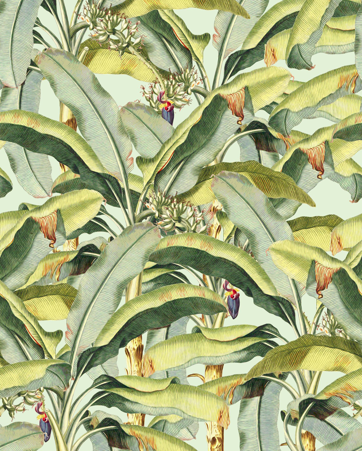 Papier peint panoramique Banana Grove Jungle vert - Seasons de Komar