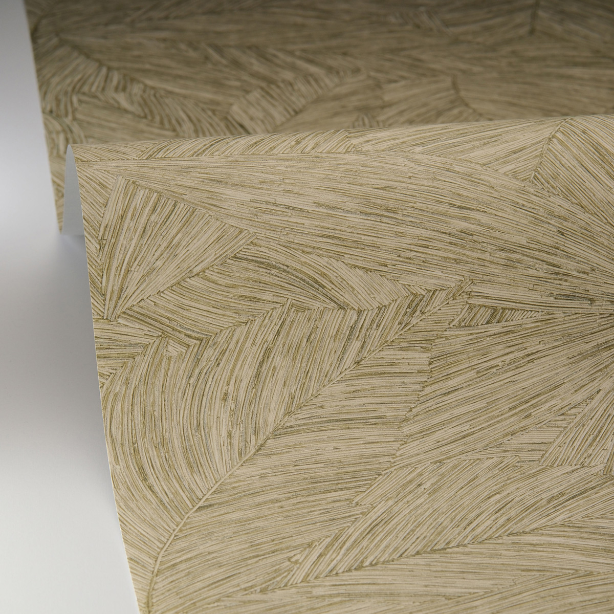 Papier peint Feuille Liège Archipel vert - Borneo de Casélio AMBV| Réf. BORN106517187