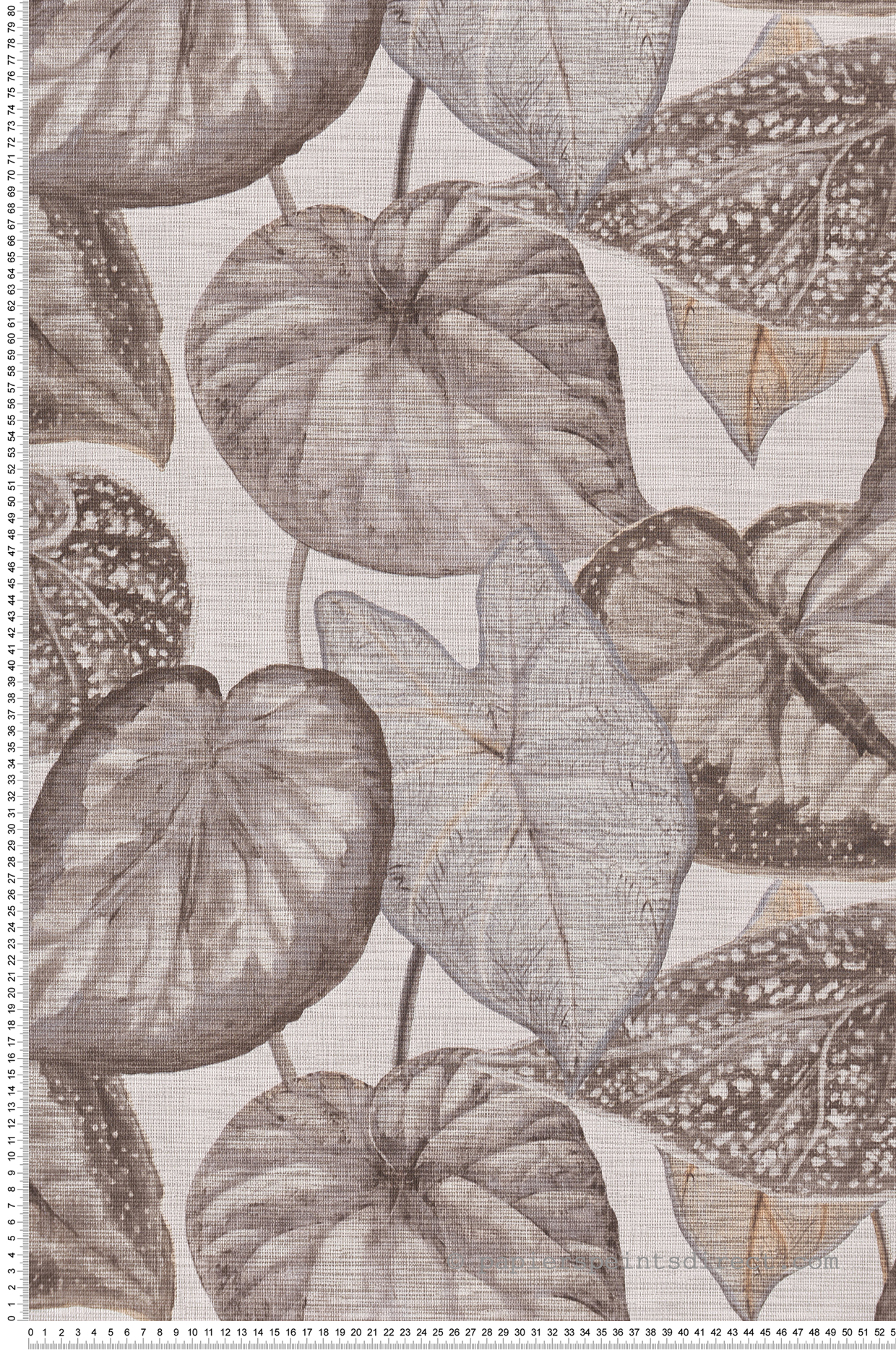 Papier peint Feuille Tropicale gris marron - Maori de Montecolino | Réf. MC-TA25050