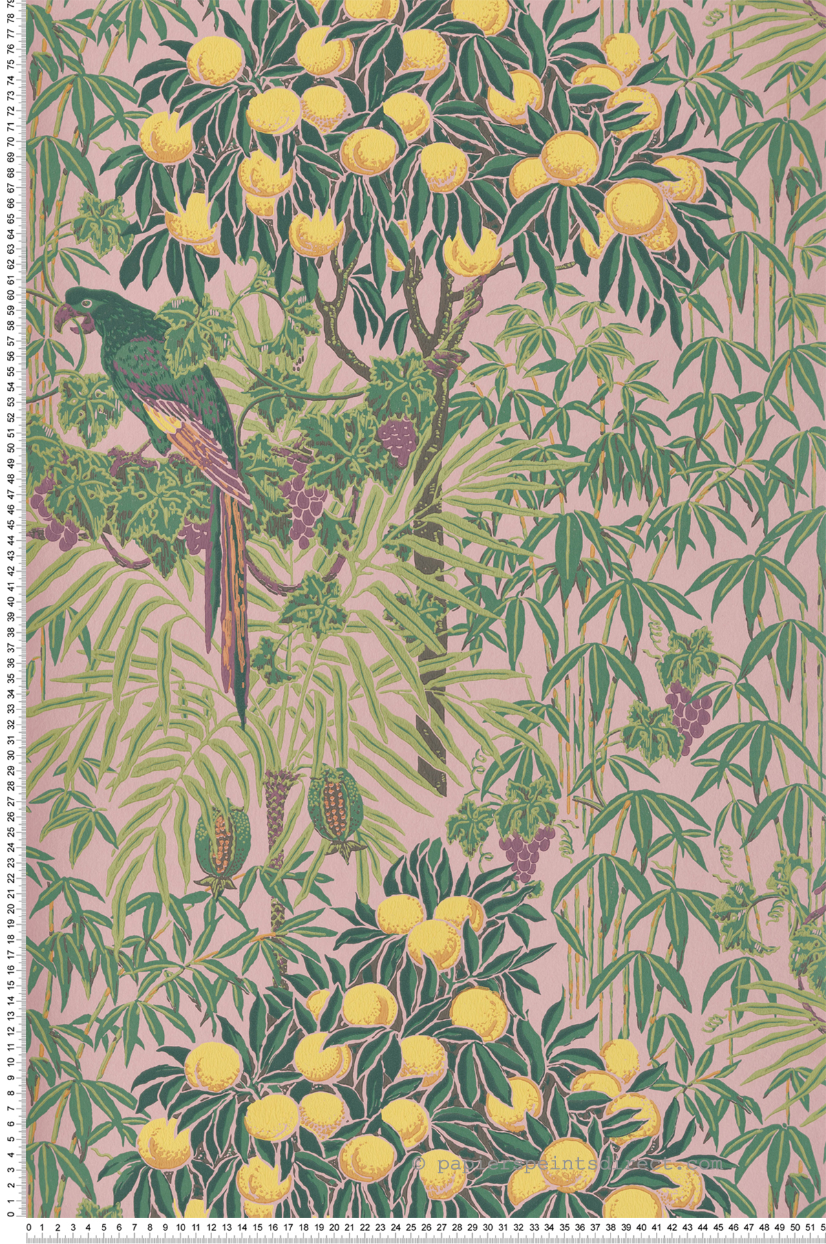 Papier peint Nature Perroquet Macaw rose blush - V&A Decorative Papers d'Initiales | Réf. INI-31116702