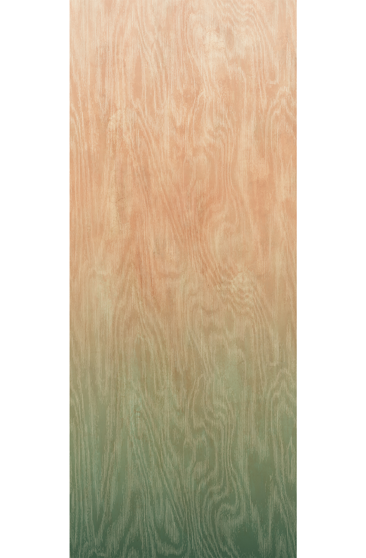 Papier peint panoramique Dégradé Moiré Bois corail vert - A H260 - Wall Designs IV de Masureel | Réf. MAS-DG4MOI1081-260