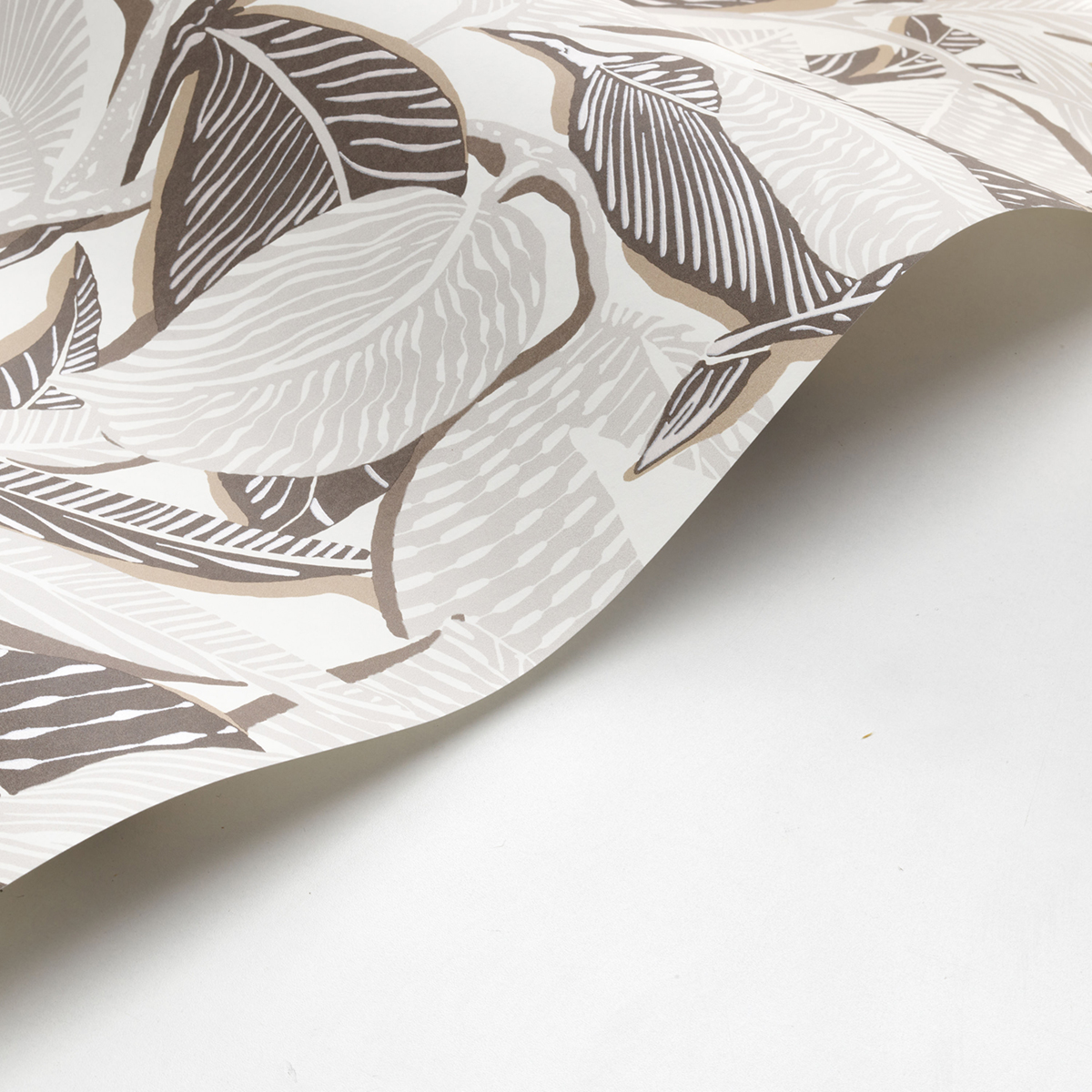 Papier peint Feuillage Riviera marron et beige - Méditerranée de Casadéco | Réf. MEDI87419865