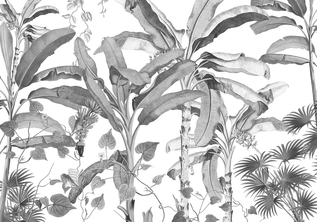 Papier peint panoramique Jungle Monochrome - Papier Peint Komar INK