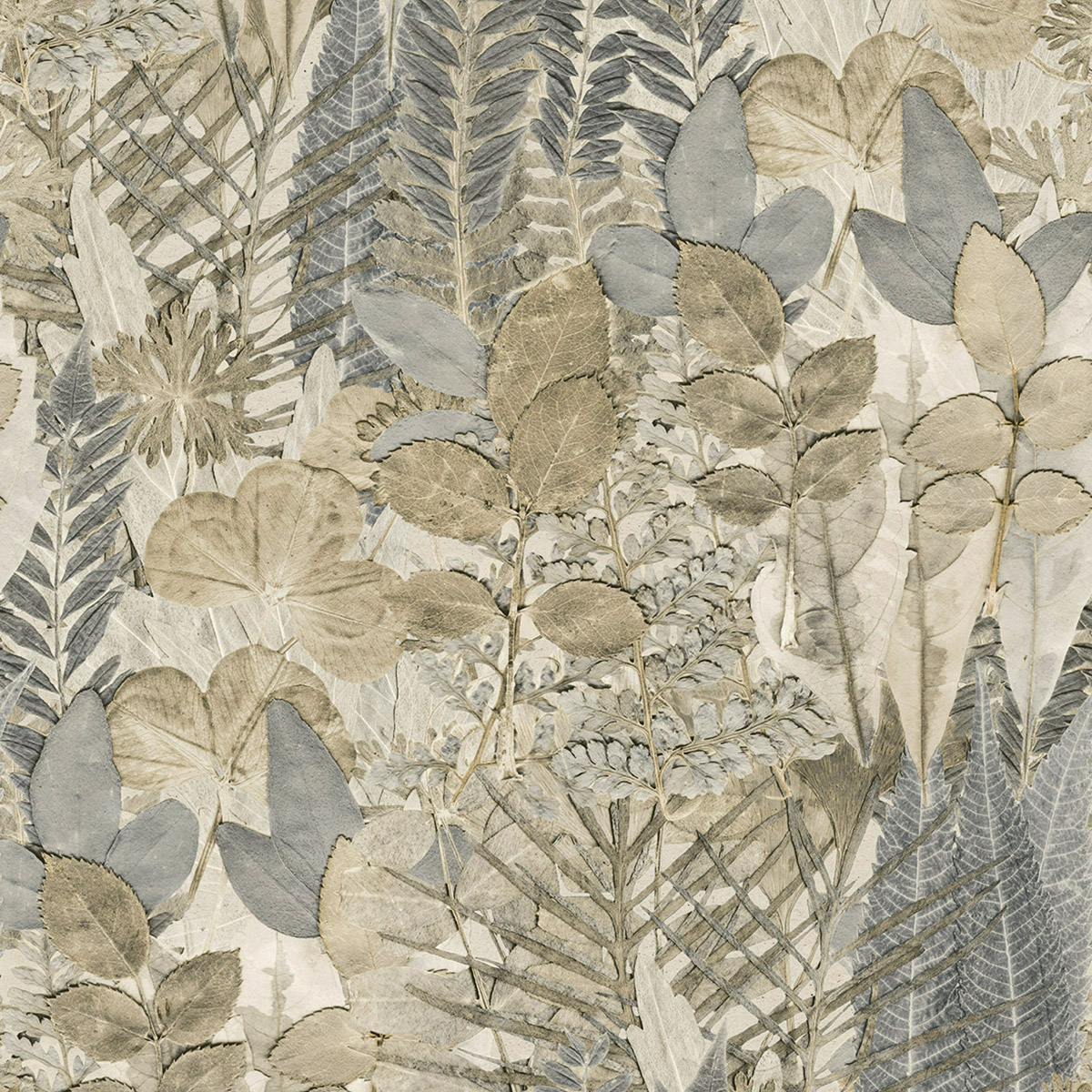 Papier peint panoramique Feuillage Harmonieux gris beige - Herbier de Montecolino | Réf. MC-HED27294