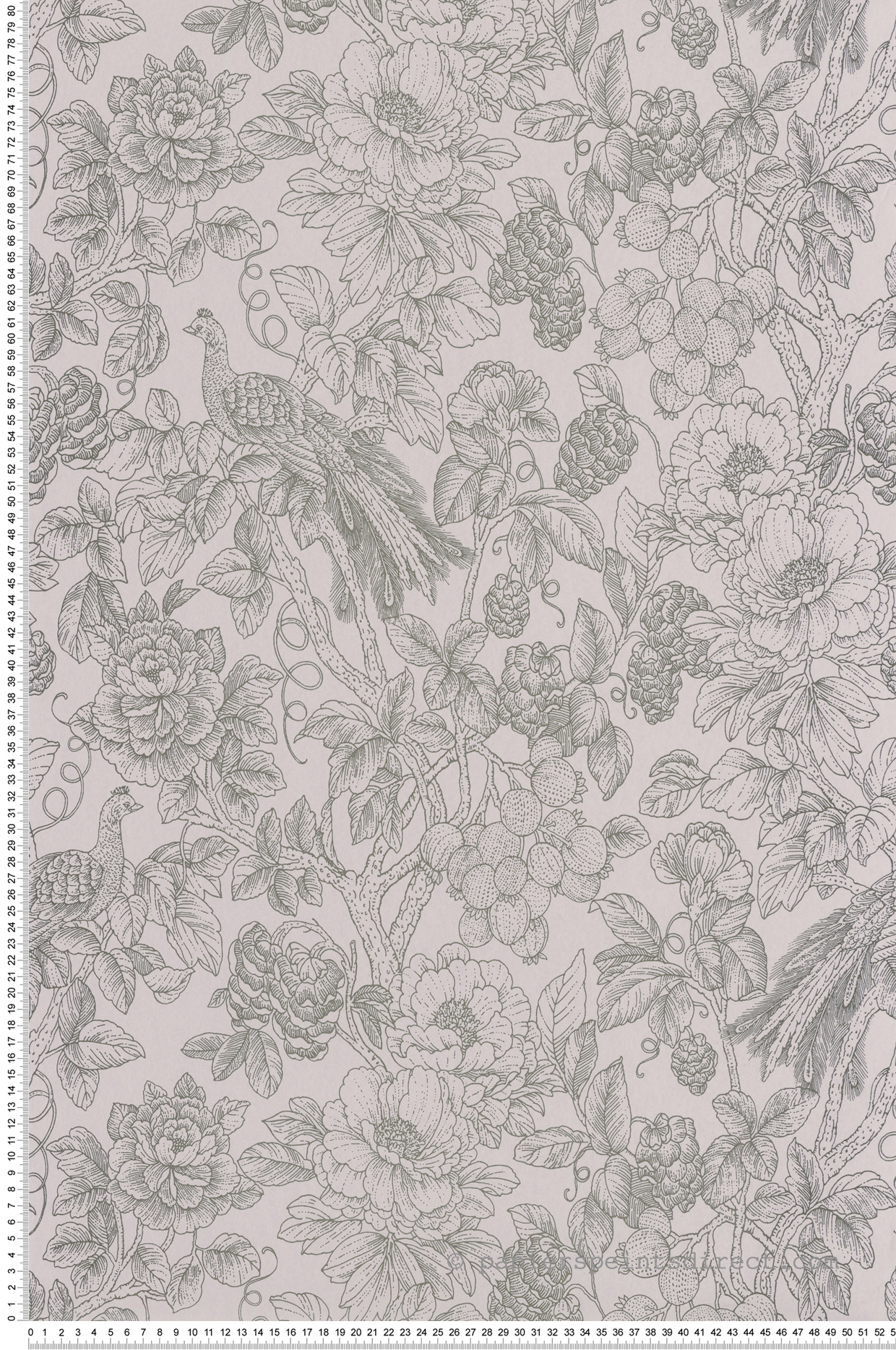 Papier peint Floral et Oiseau Feather tourterelle - Delicacy de Casadéco | Réf. DELY85369348