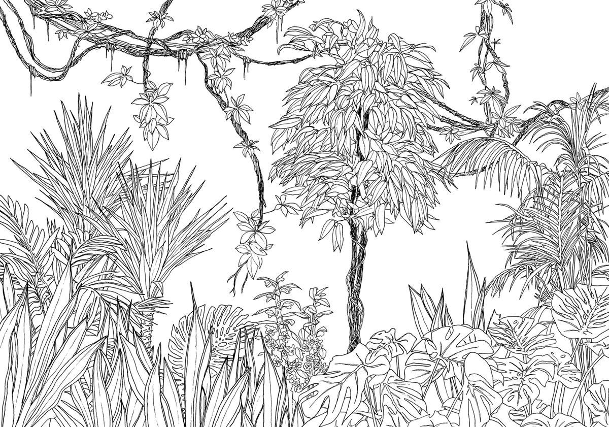 Papier peint jungle panoramique Blanca - Papier peint Komar RAW