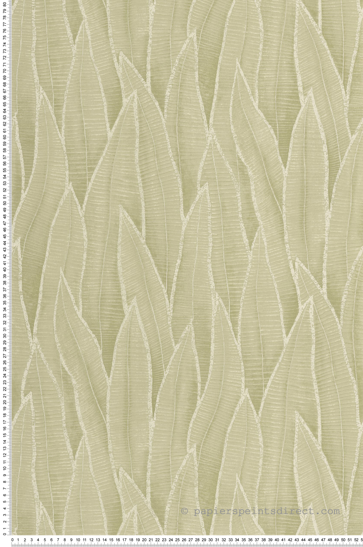 Papier peint Nature Feuille Sansevieria vert amande - Rio de Casadéco | Réf. RIOC201837260