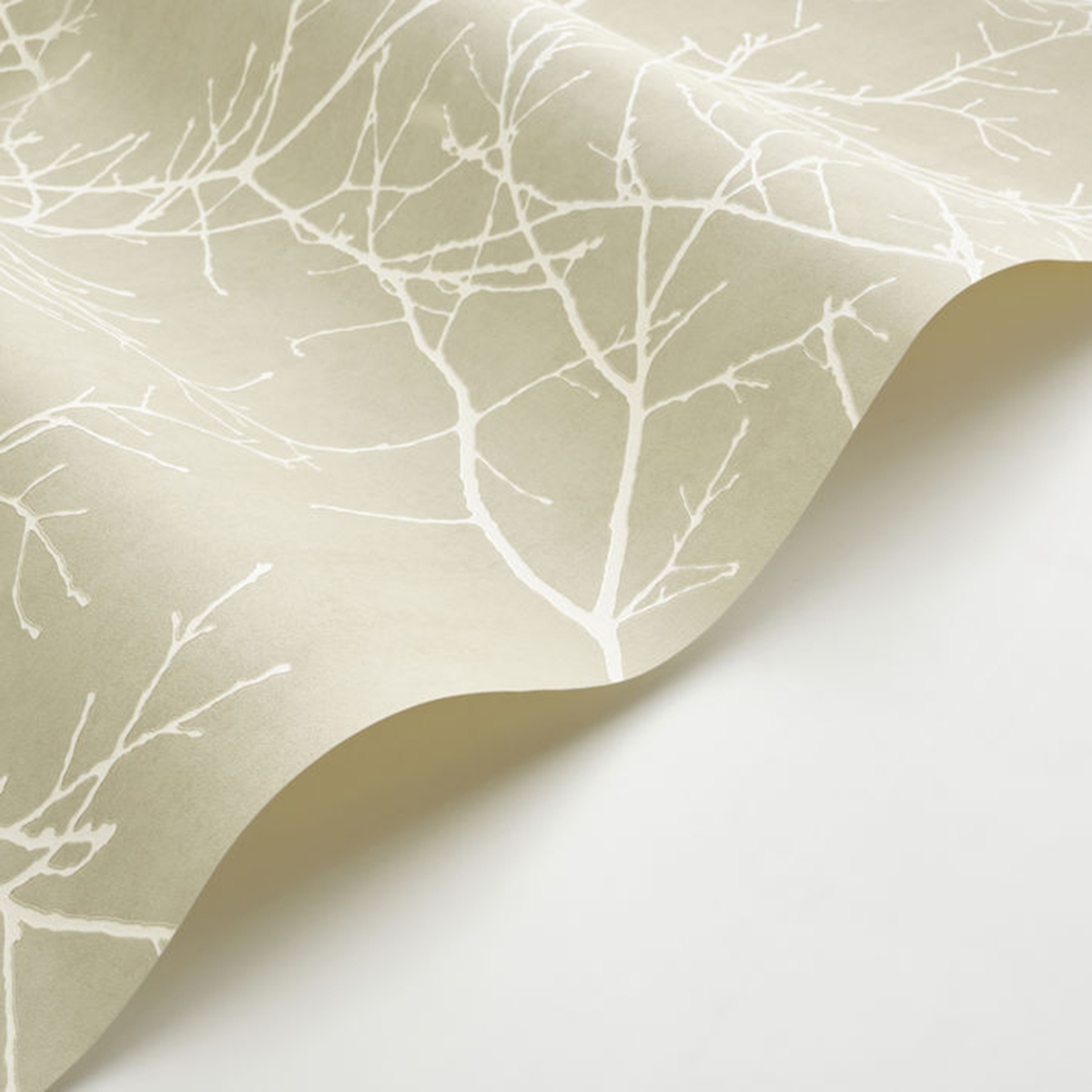 Papier peint Branche Arbre Vancouver vert lichen - Riverside 4 de Casadéco AMBV | Réf. RIVI89537200