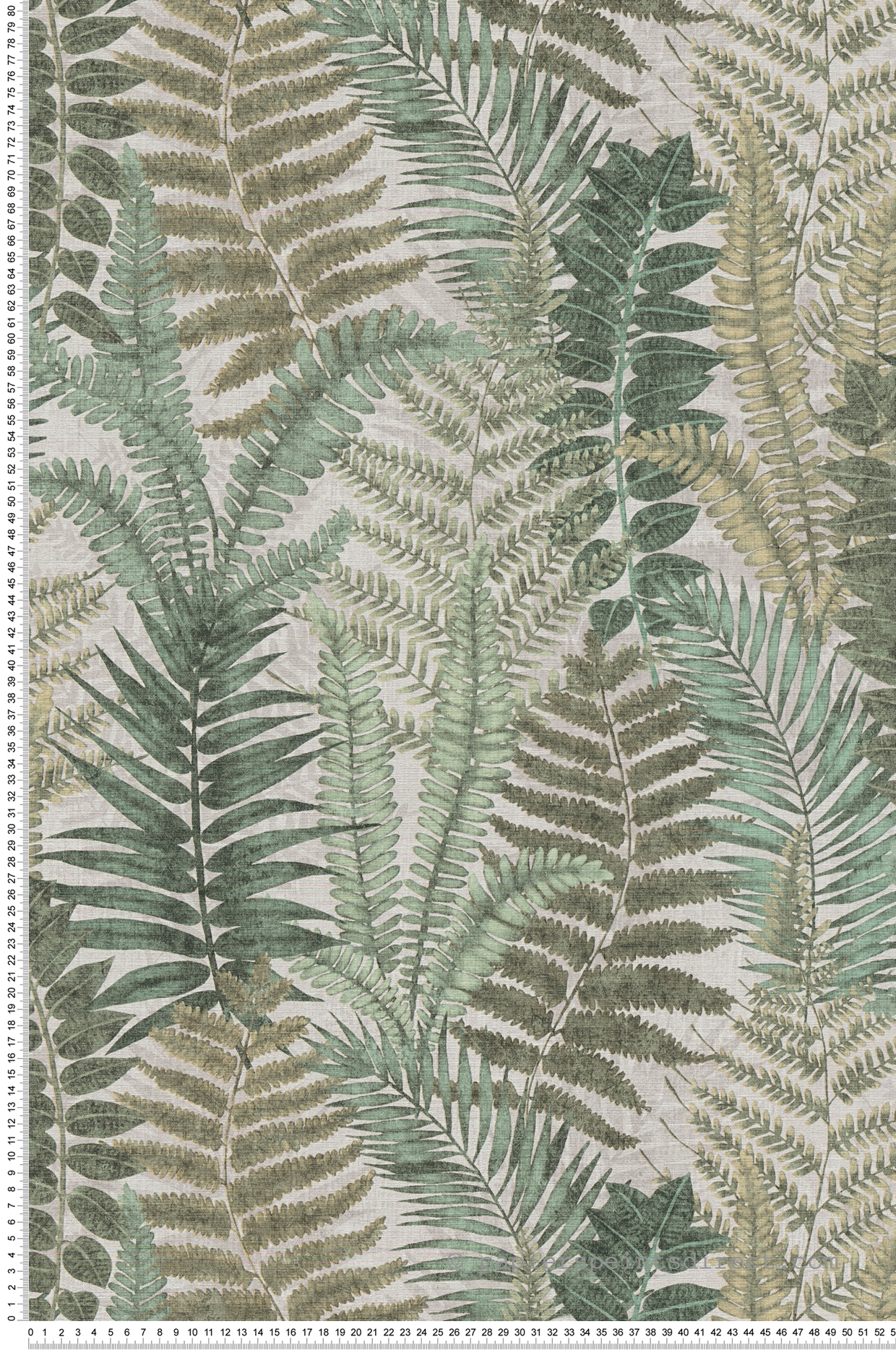 Papier peint Fougère Athyrium vert gris - Famous Garden d'A.S. Création | Réf. AS-393474