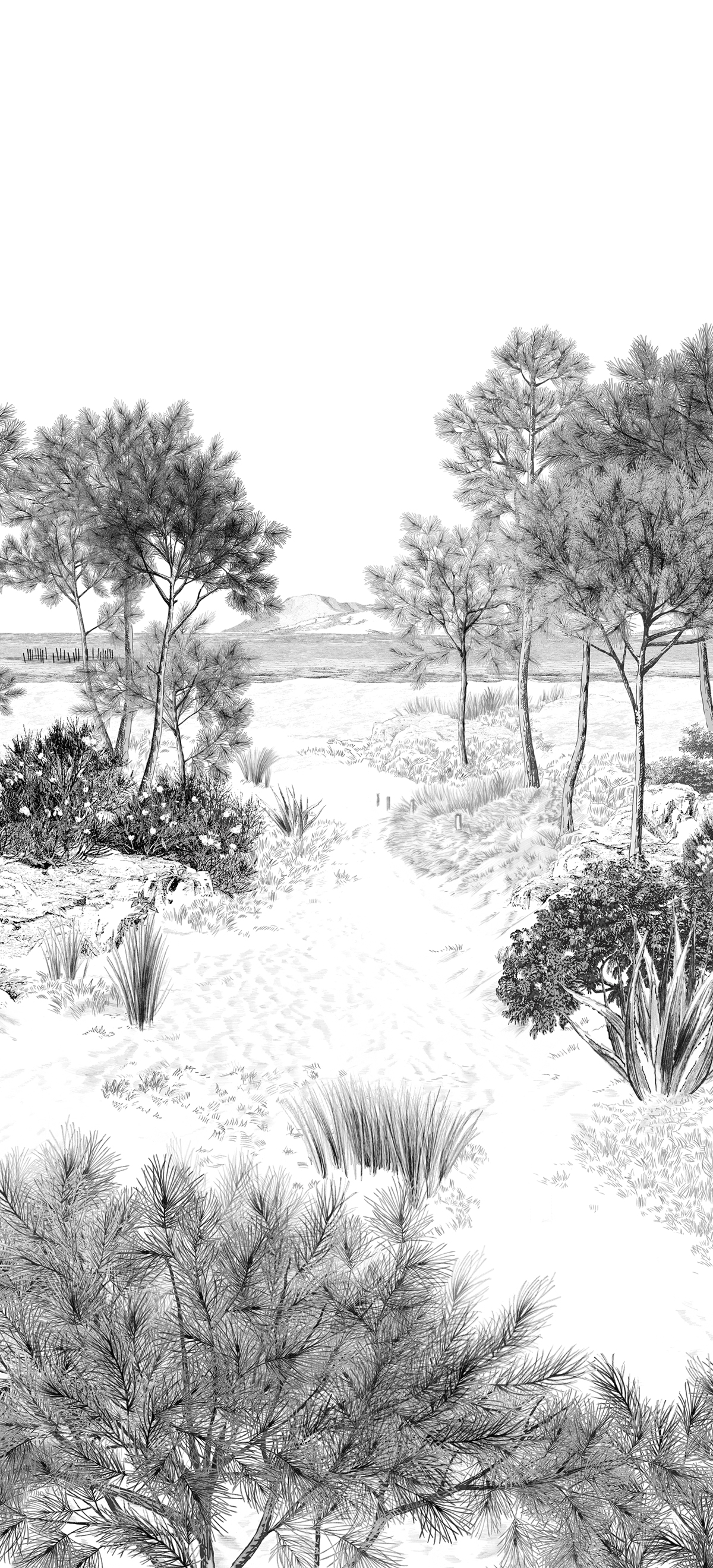 Papier peint panoramique Dune - 1/2/3 - Isidore Leroy