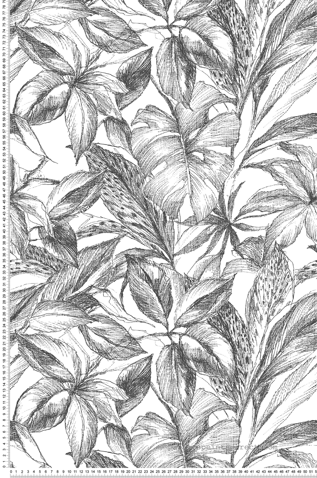 Papier peint adhésif Monstera Canopée noir blanc - Les Adhésifs de Lutèce | Réf. LTC-NUS3498