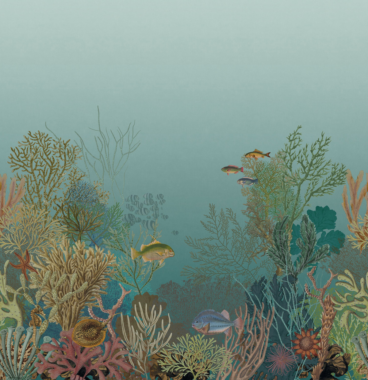 Papier peint panoramique Poisson Marin Aquarium L turquoise 300X310 - Seaside de Casadéco | Réf. SEAS201546309