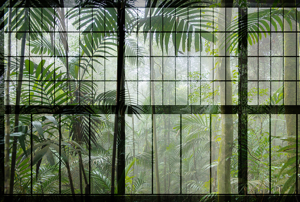 Papier peint panoramique Verrière Jungle Rainforest 1 - Référence DD113737 - Intissé 200g/m2 - Standard 400 x 270