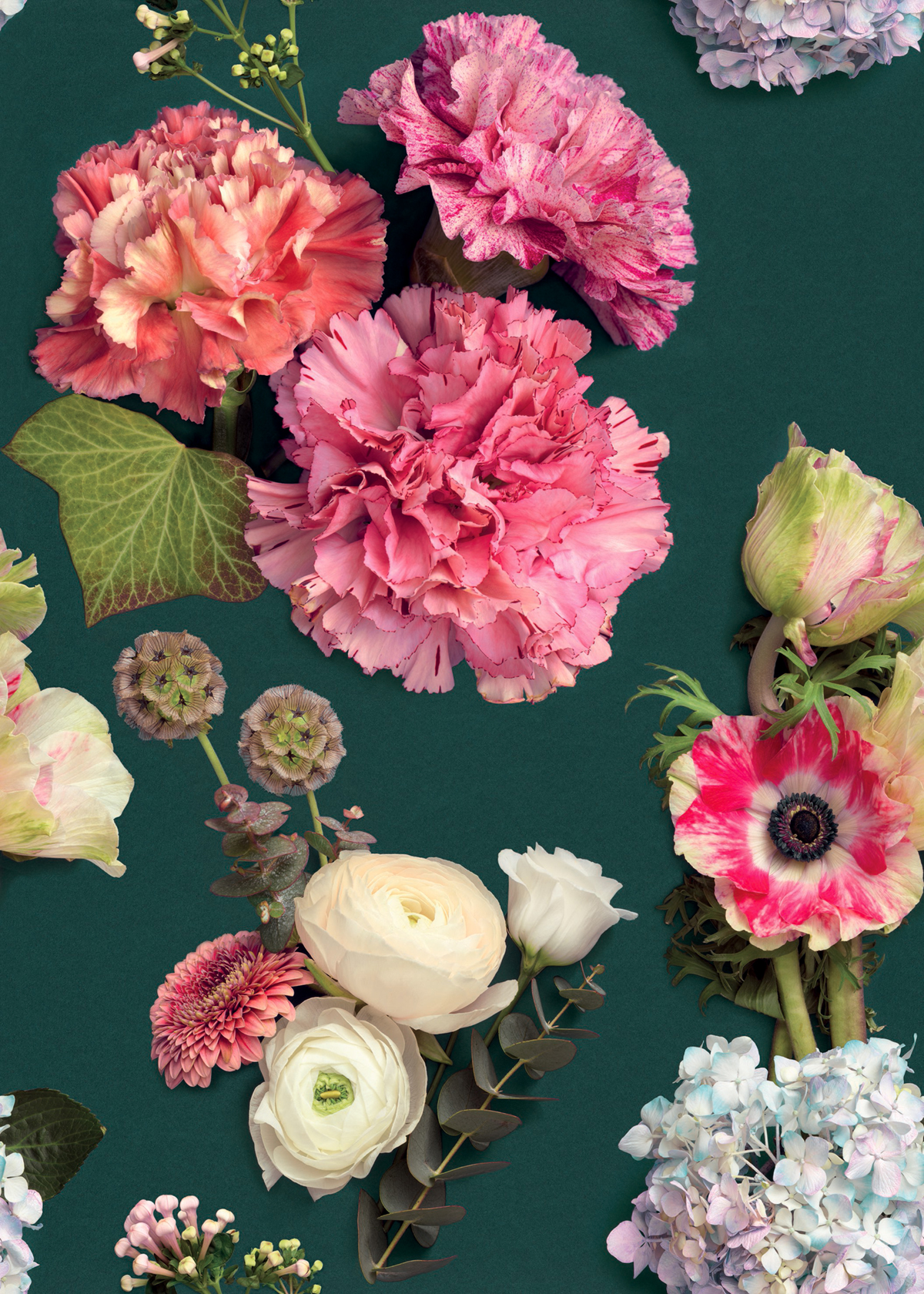 Panoramique Bouquet fleurs - Florescence de Casadeco | Réf. FLRE89414243