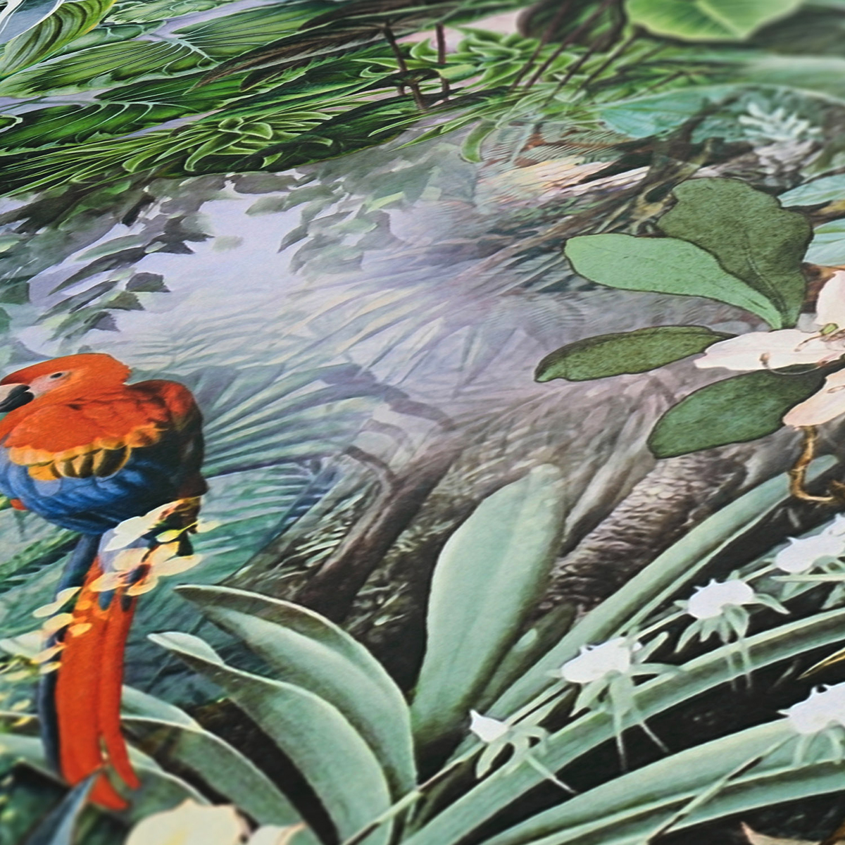 Papier peint Jardin et Perroquet vert et orange - Dream Flowery de Architects Paper | AMB Réf. 38179-2