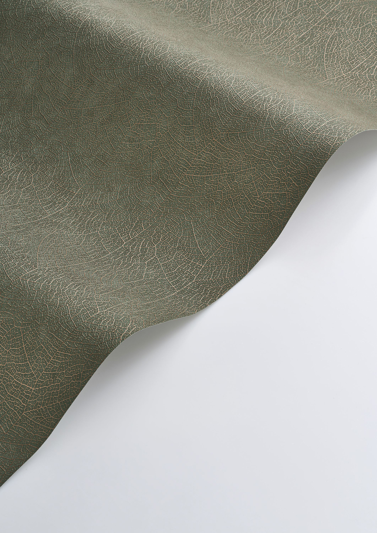 Papier peint Feuille Nervure Nola vert paon - Vegetals de Casadéco AMBV| Réf. VEGE201287909