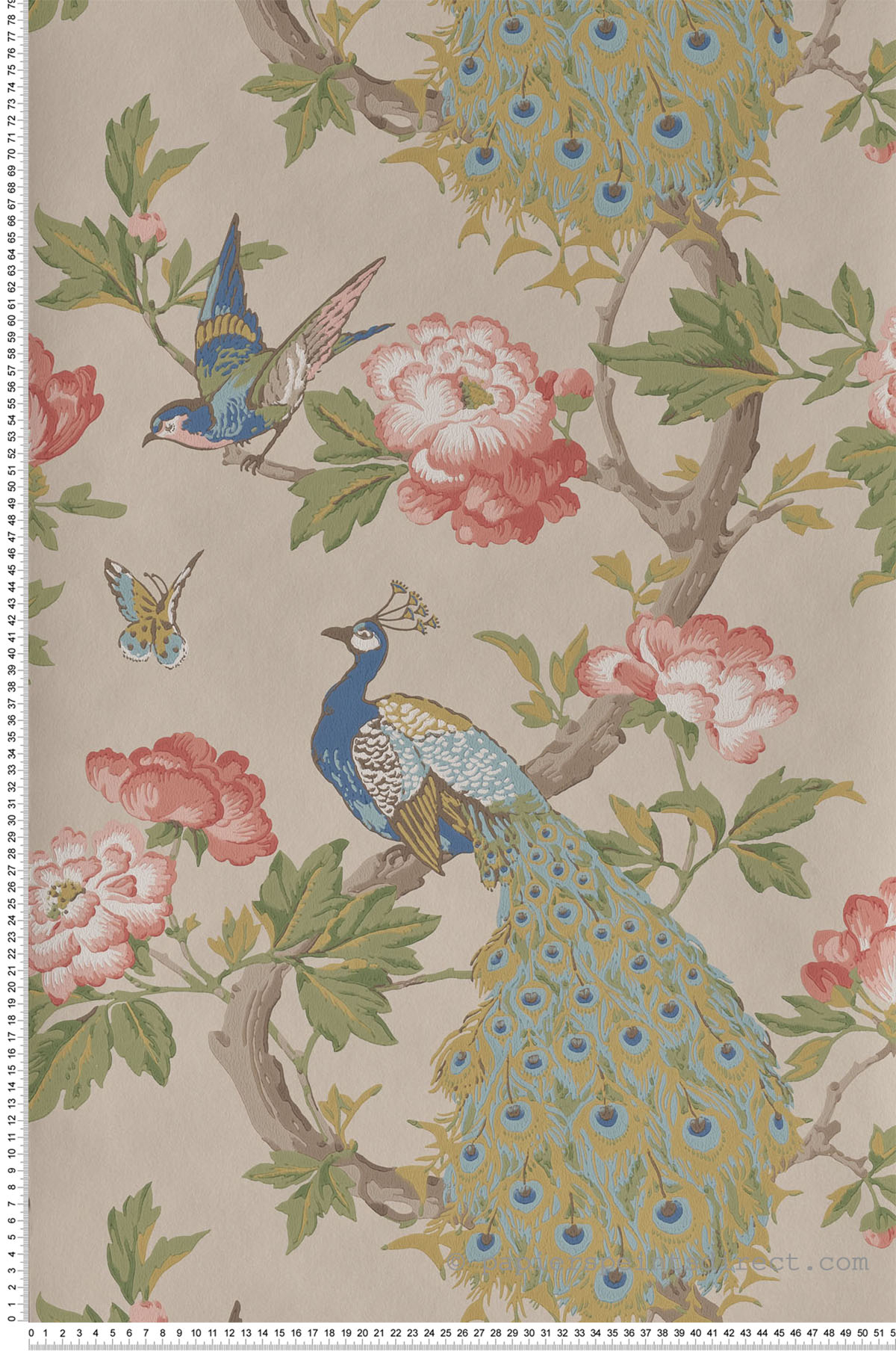 Papier peint vintage paon Pavona Hazel - National Trust Papers de Little Greene | Réf. 0245PAHAZEL