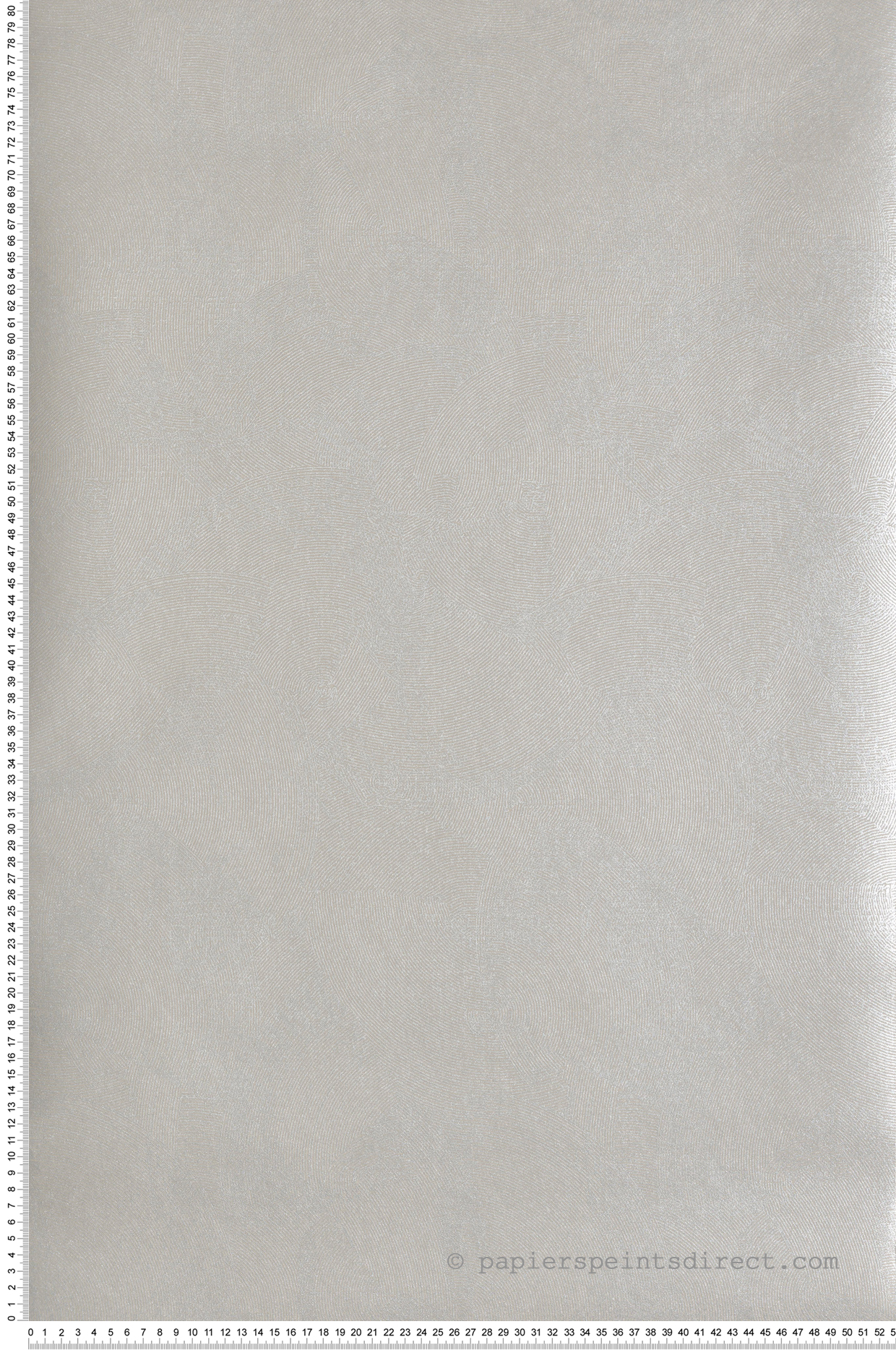 Papier peint Cercle Graphique argenté - Attitude de Lutèce | Réf. LTC-DWP0366-06
