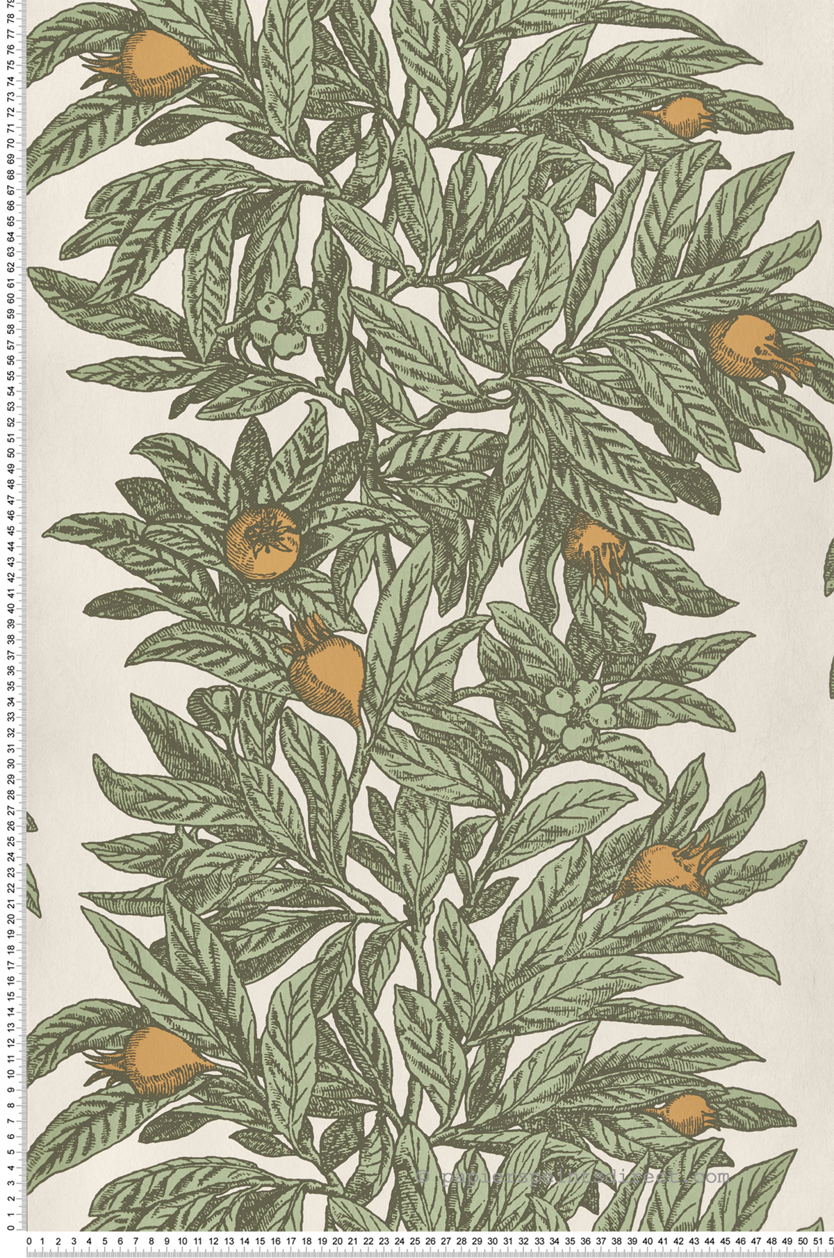 Papier peint Arbre Fruitié Medlar écru - Mansfield de Osborne & Little | Réf. OSB-W7458-04