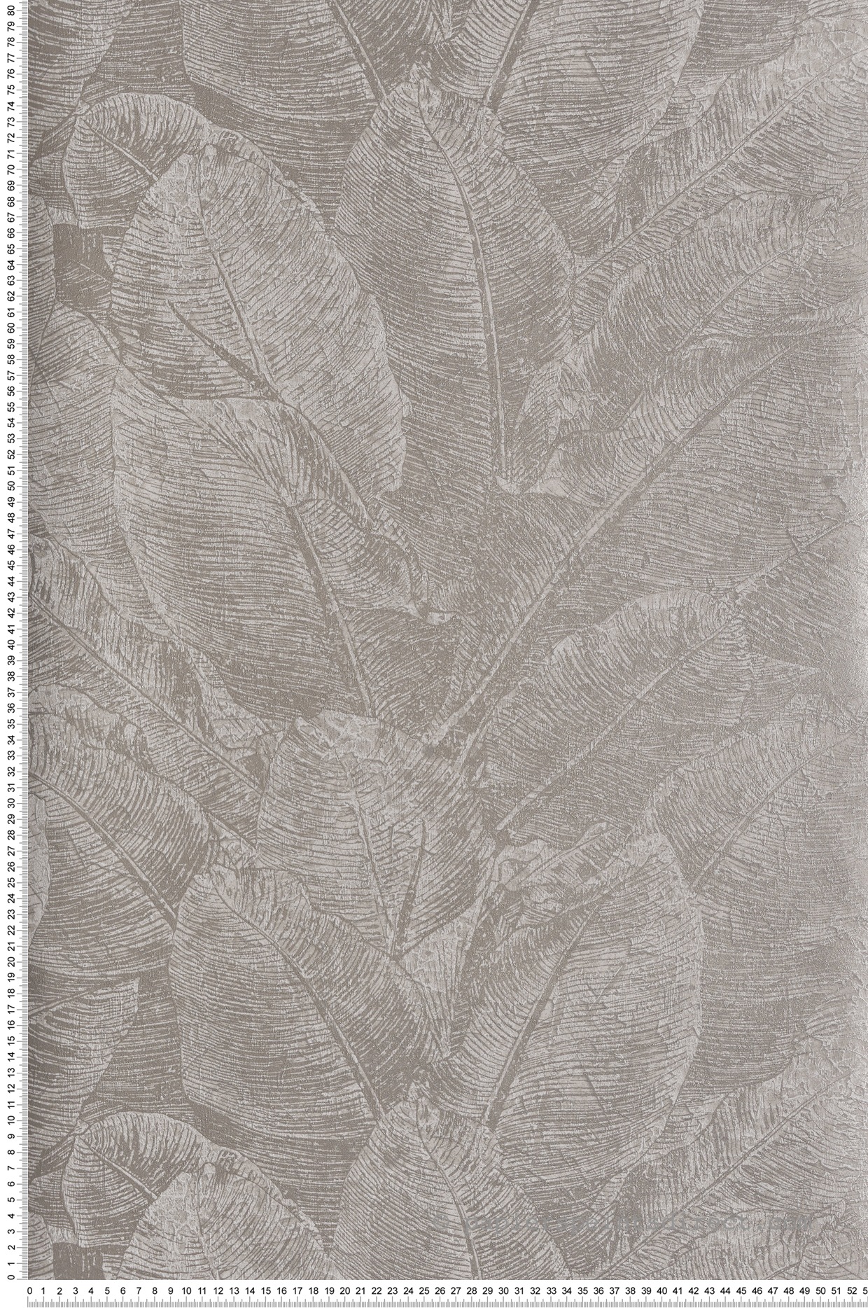 Papier peint Feuillage Discret Juan grège métallisé - Havana de Masureel | Réf. MAS-HAV303