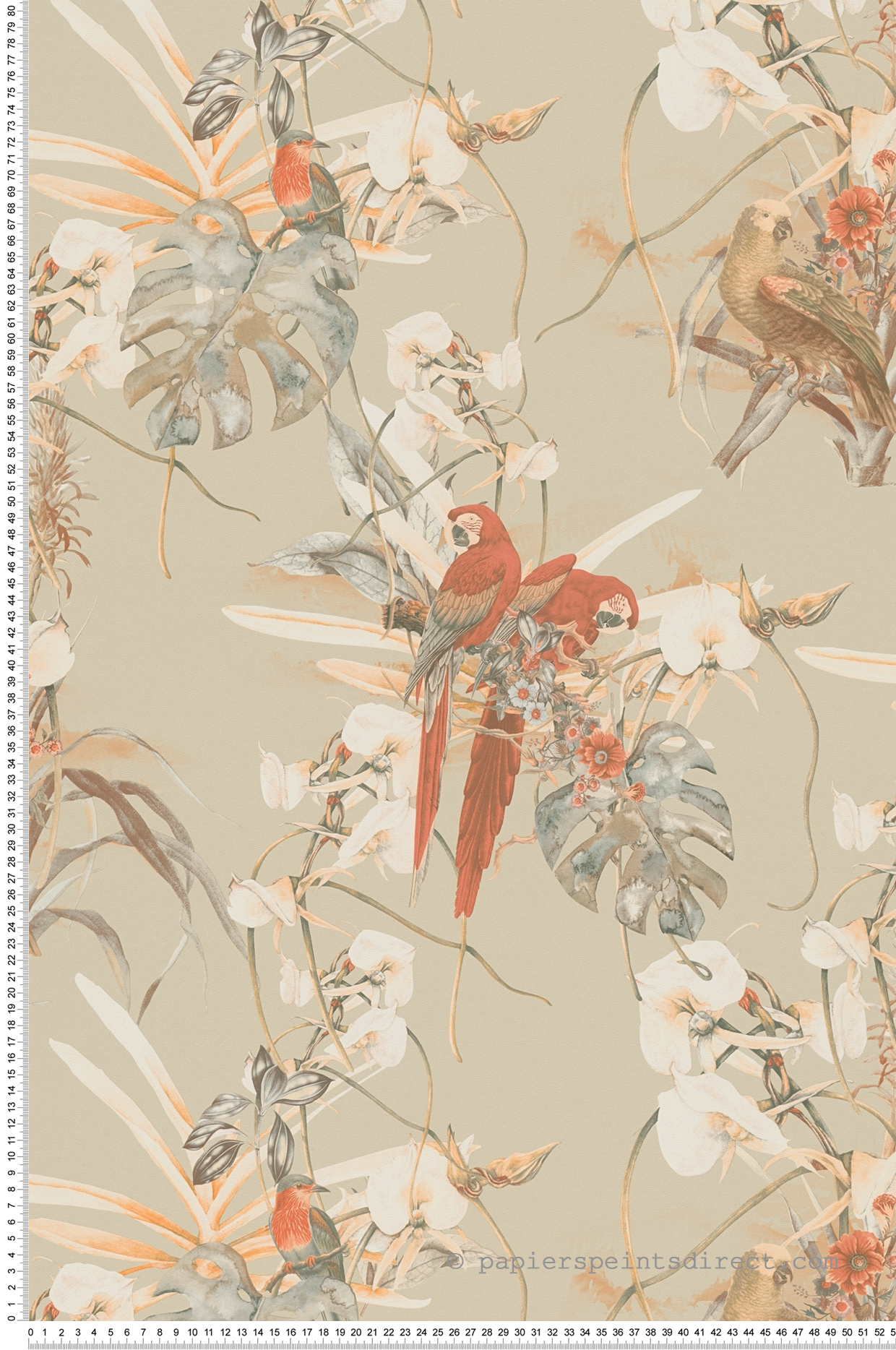 Papier peint Perroquets Fleurs Caraïbes terracotta - Pintwalls d'A.S. Création | Réf. AS-387252