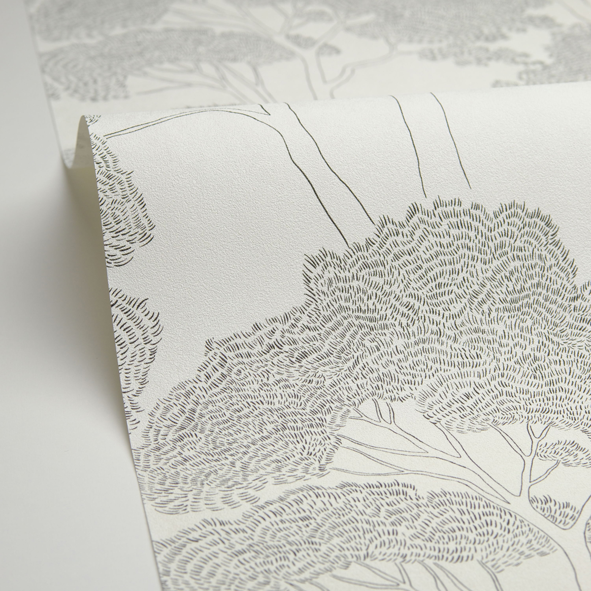 Papier peint Arbre La Ciotat noir et blanc - Azur de Casélio AMBV | Réf. AZU105430903