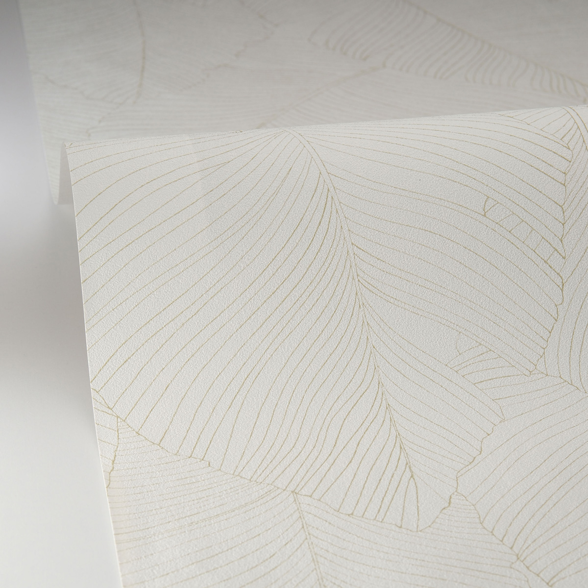 Papier peint Feuillage Vegetalia vert blanc - Borneo de Casélio AMBV| Réf. BORN106507050