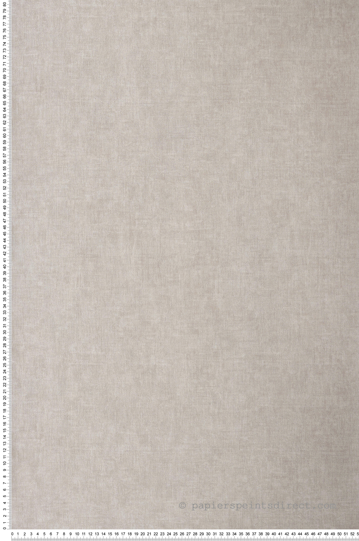 Papier peint Faux Uni William grège - Gingko de Casadéco | Réf. GINK81911126