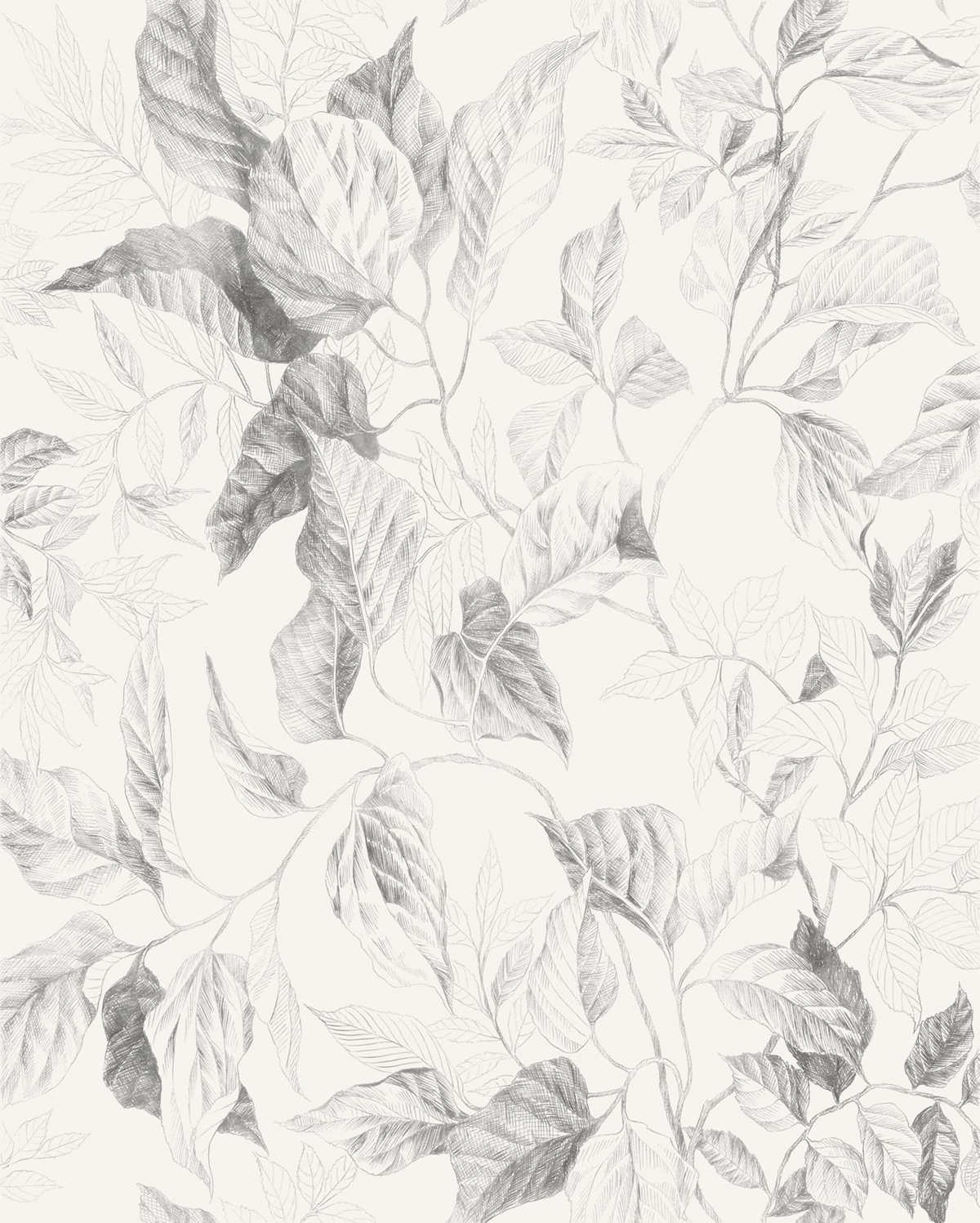 Papier peint panoramique Feuillage Botanique Gravure gris - Seasons de Komar