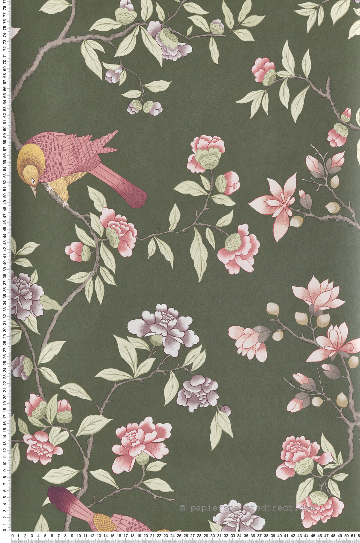 Papier peint Oiseaux Pivoine Aderyn Olive Colour - National Trust Papers 4 de Little Greene | Réf. 0267ADOLIVE