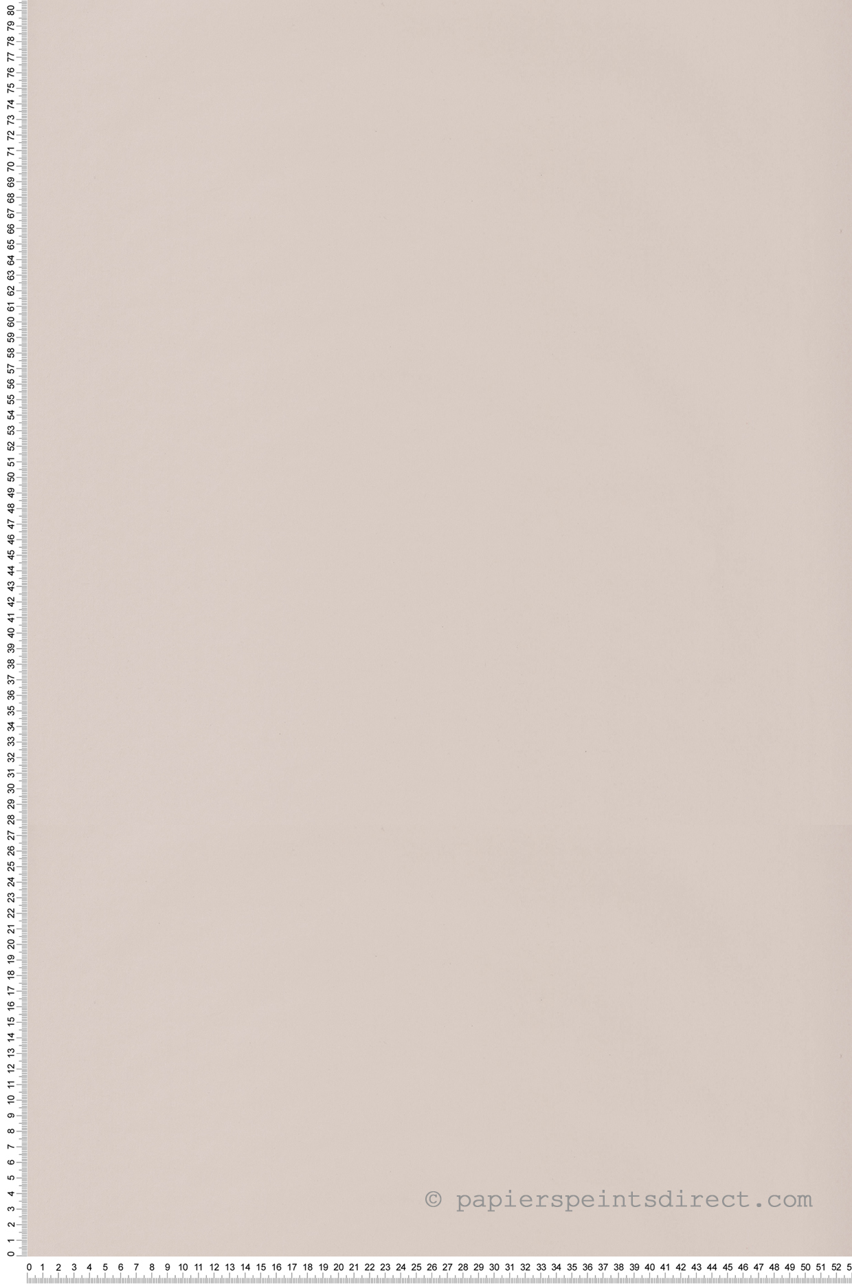 Papier peint Uni grège clair - L'odyssée de Casélio | Réf. OYS69861111