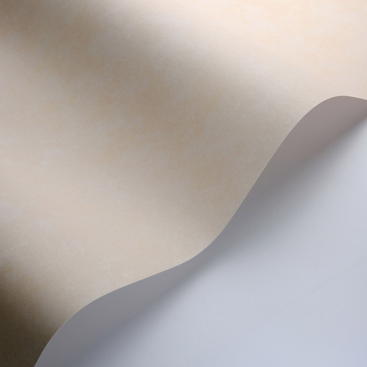 Papier peint Uni Buvard Vallauris sable - Echappée Belle de Casadéco AMB3| Réf. ECHA89851141