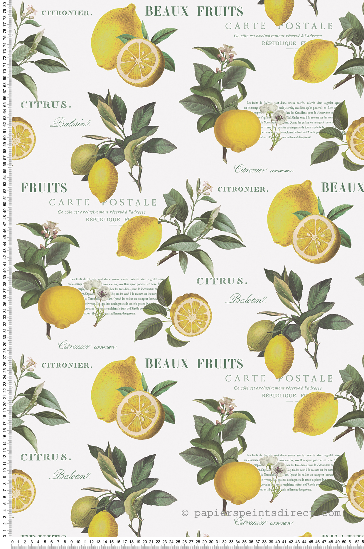 Papier peint Citronnier jaune vert - Cuisine Fraicheur 6 de Lutèce | Réf. LTC-G45409