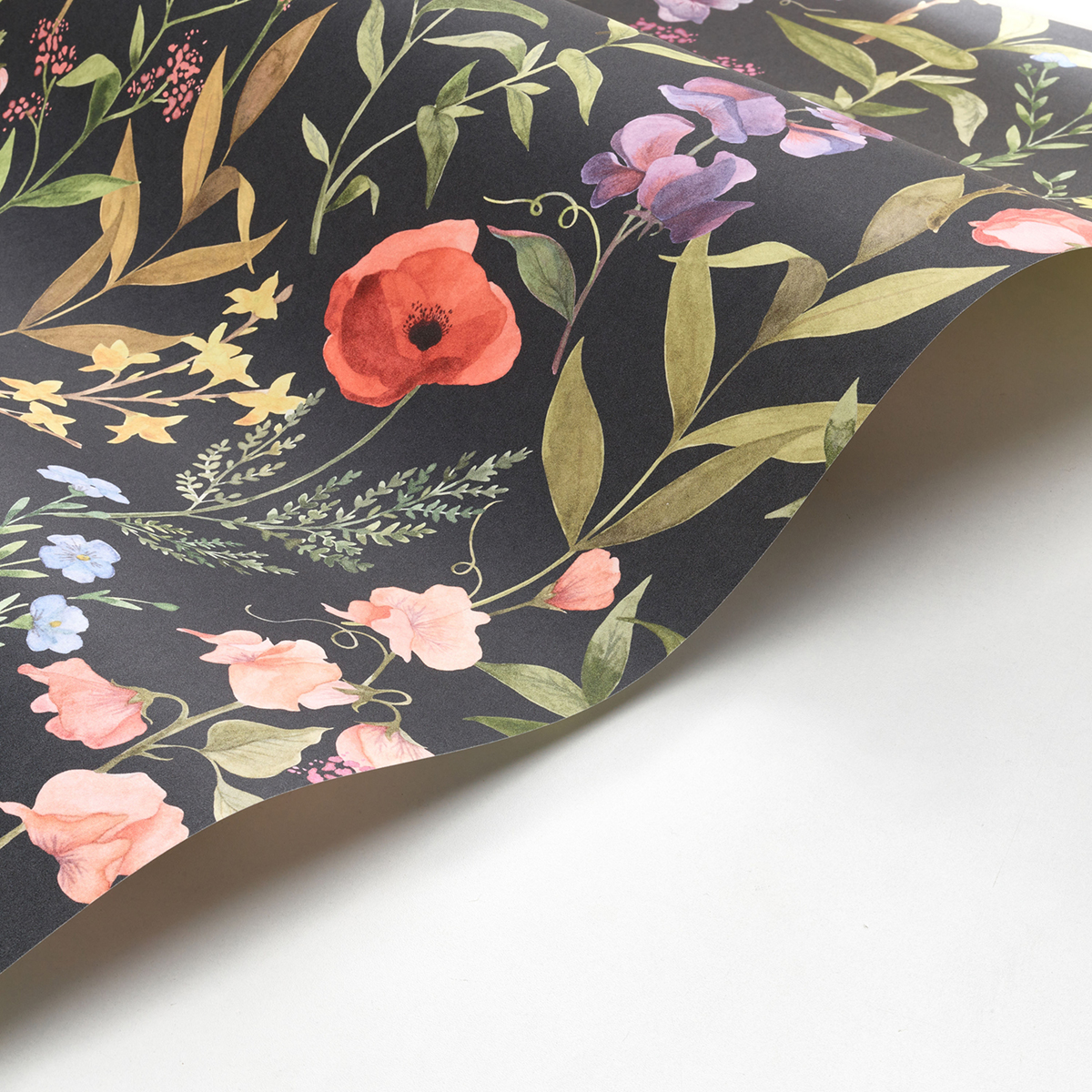 Papier peint Fleurs Des Champs noir - Gardens de Casadéco AMBV | Réf. GADN87659456