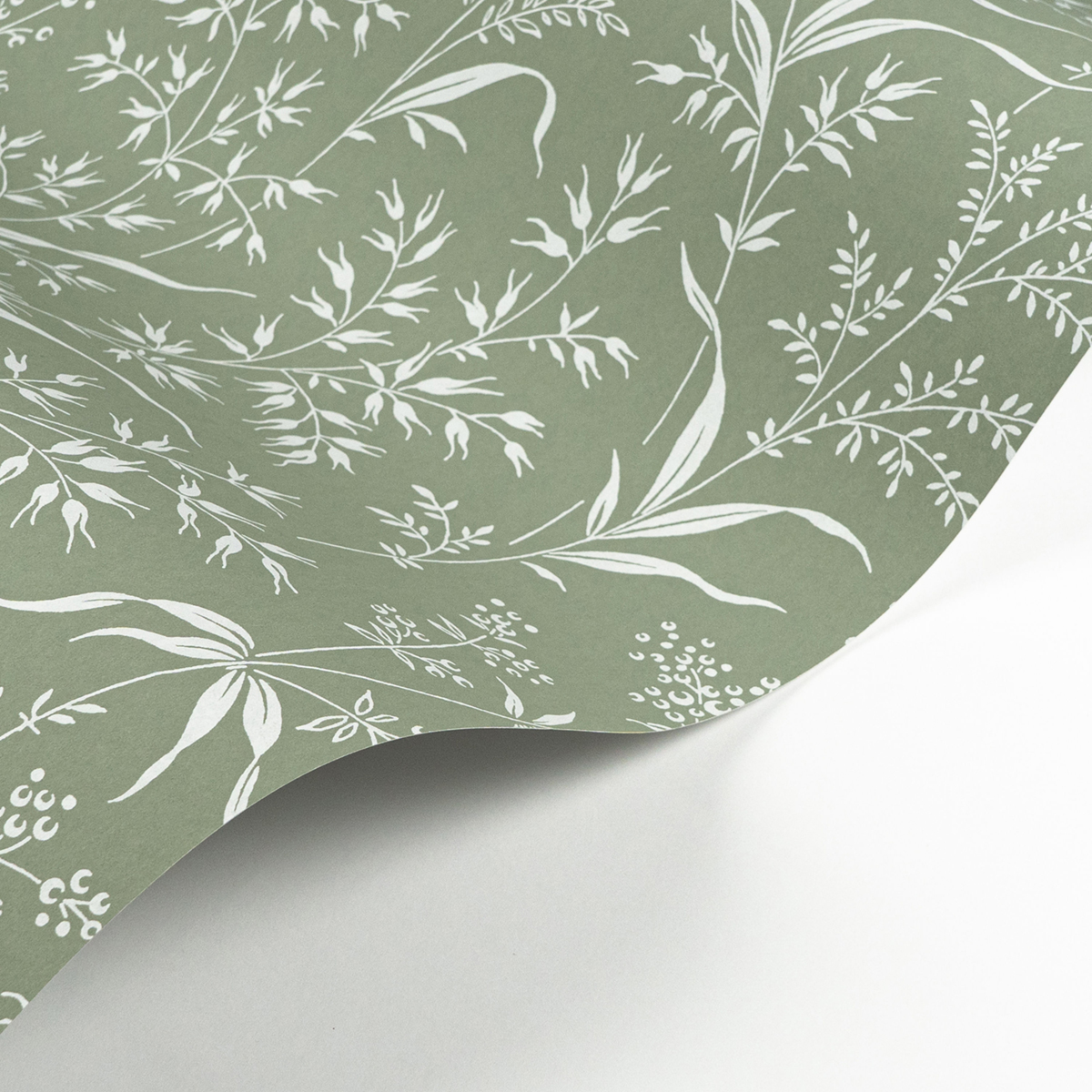 Papier peint Champ d'Herbe vert céladon - Soliflore de Casadéco AMBV | Réf. SOLI200286306