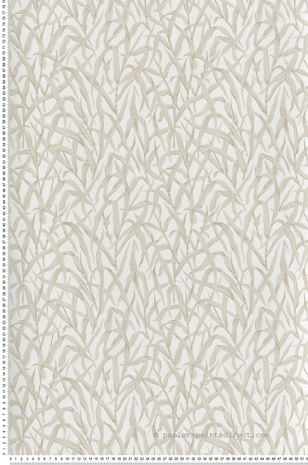 Papier peint Feuilles Ornamental Grasses beige - V&A Decorative Papers III d'Initiales | Réf. INI-2513-185-02