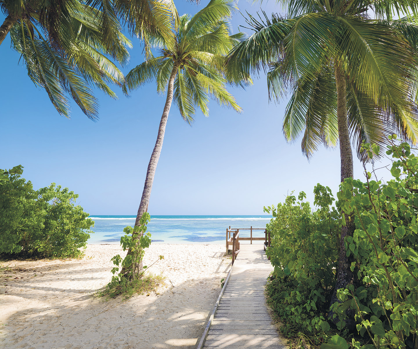 Panoramique Palmy Beach - Papier peint Komar