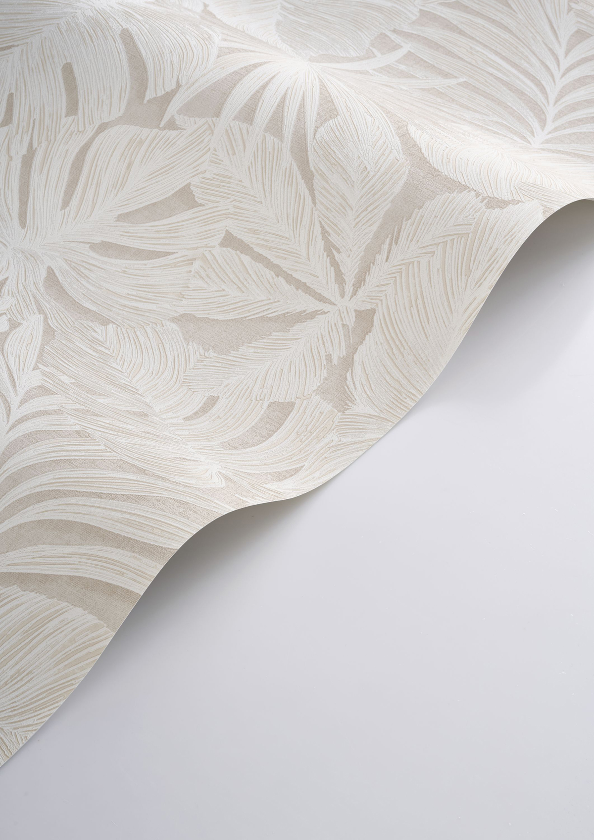 Papier peint Palmes Gravure Granada écru - Vegetals de Casadéco AMBV| Réf. VEGE86431188