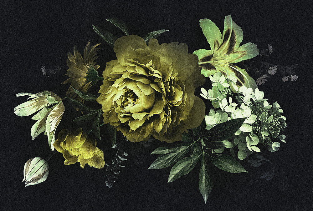 Papier peint panoramique Fleurs Drama Queen 2 - Référence DD114167 - Intissé 200g/m2 - Standard 400 x 270