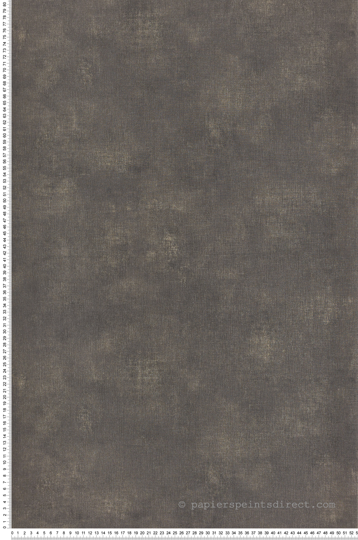 Papier peint Faux uni anthracite et doré - Telas 2 de Casélio | Ref. TEL102079099