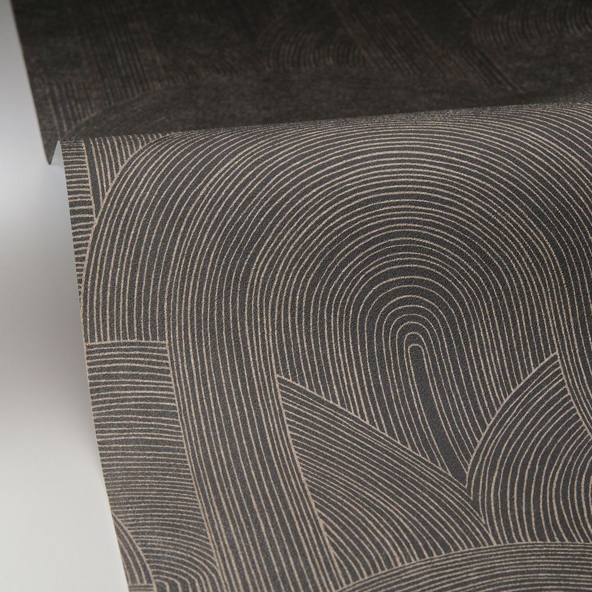 Papier peint Arche Graphique Delicacy noir métallisé - Light de Casélio AMB4| Réf. LIG106569129