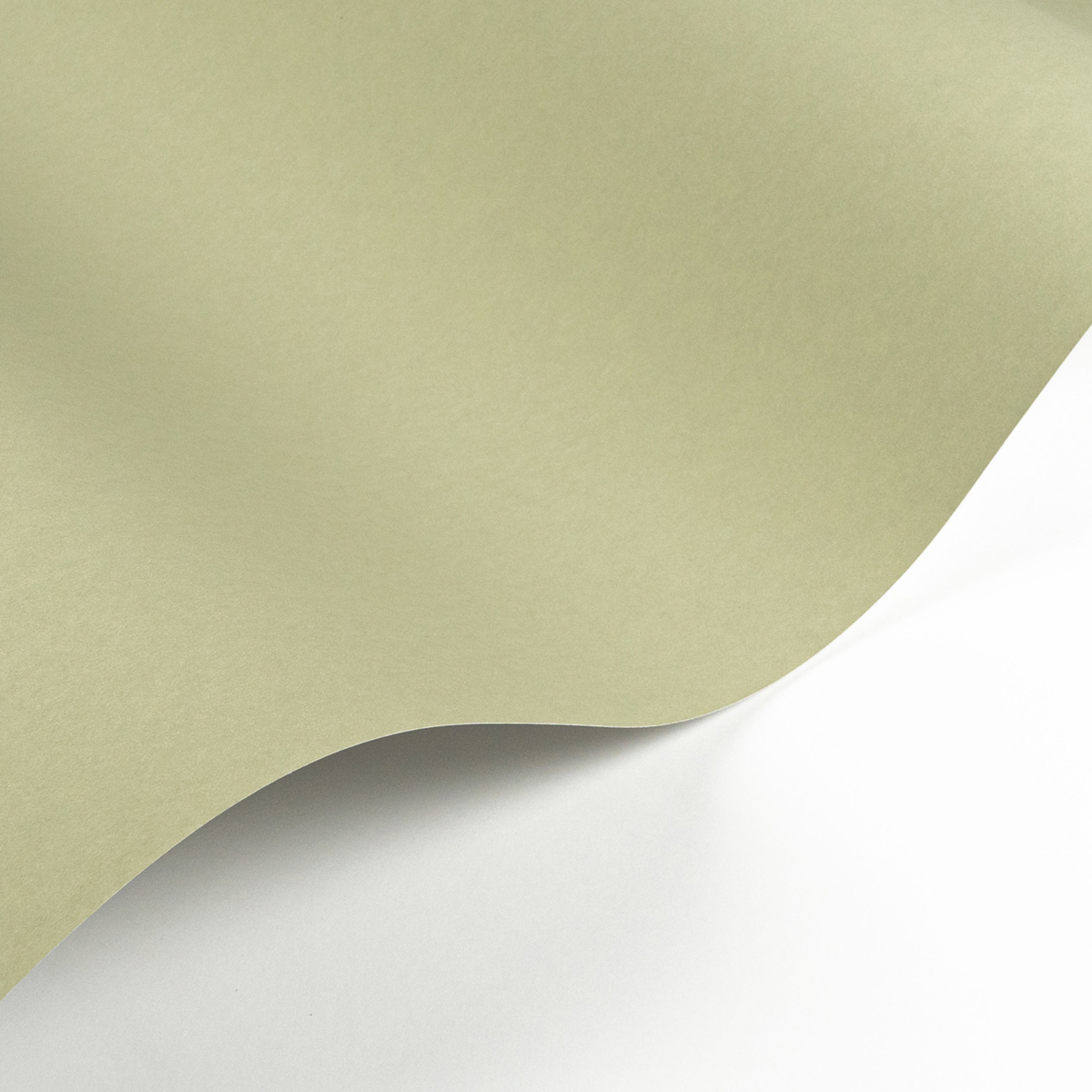 Papier peint Uni Pigments Buvard vert argile - Galons et Frises de Casadéco | Réf. GAFR200337337