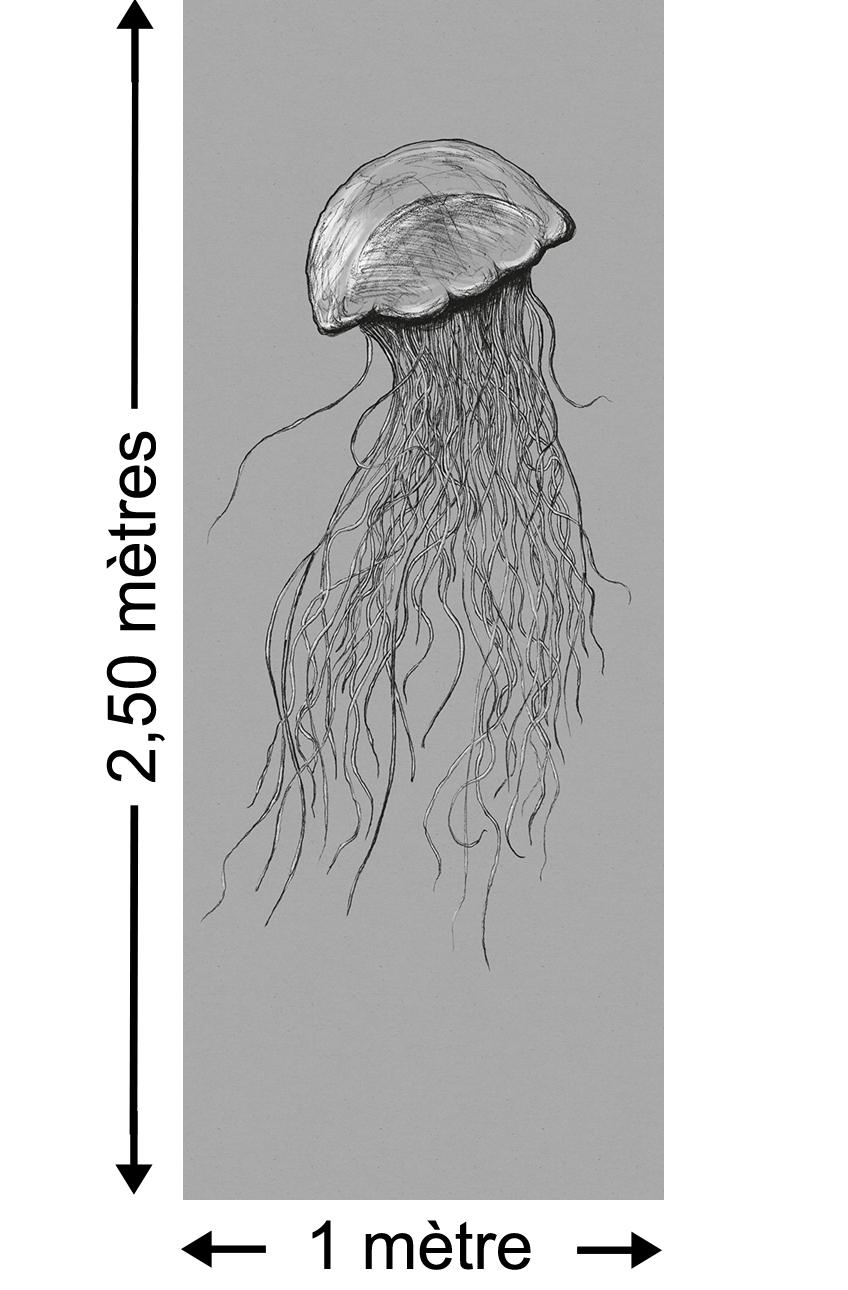 Papier peint marin Jellyfish Panel - Papier peint lé unique Komar