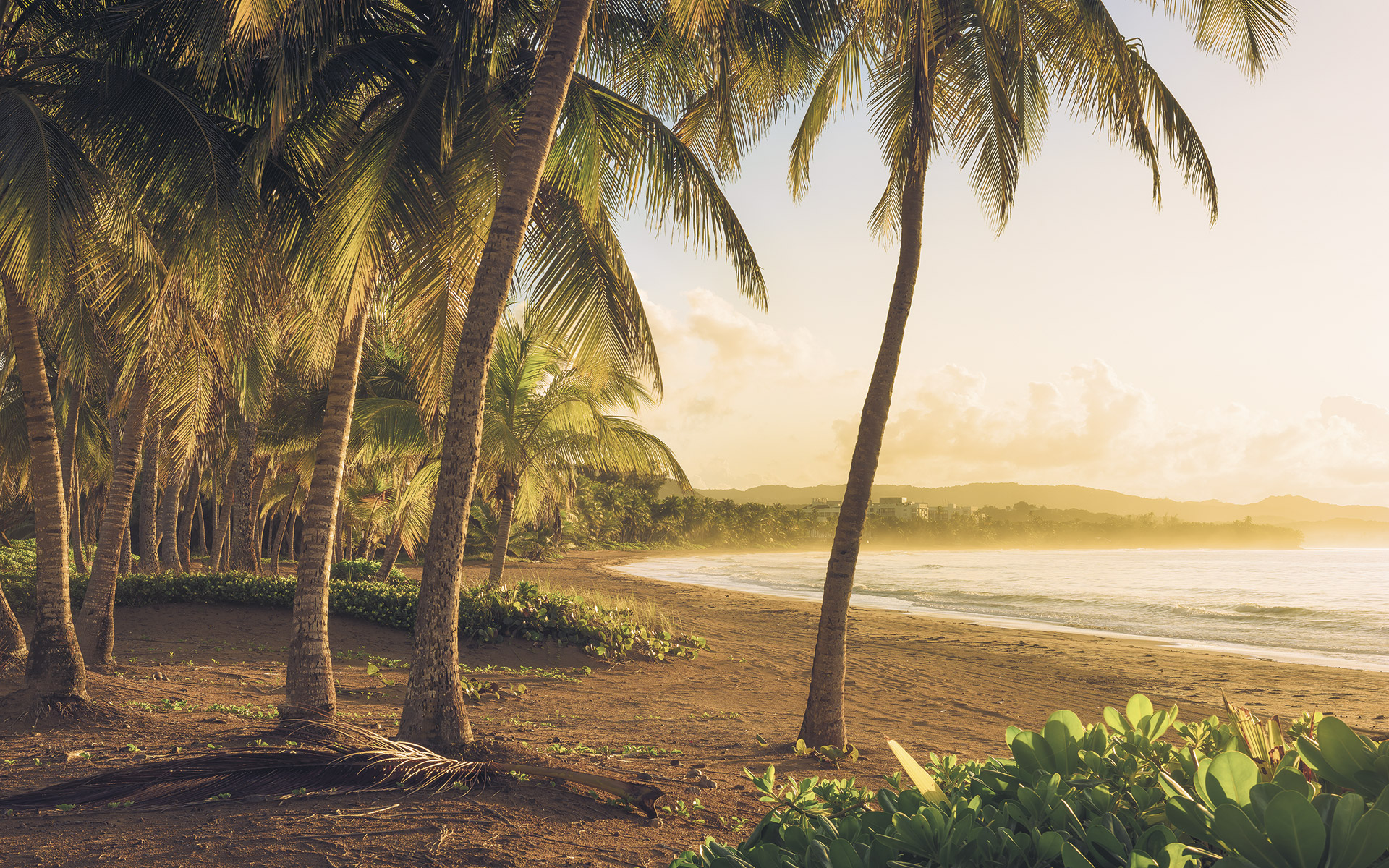 Panoramique Golden Lands - Papier peint Komar