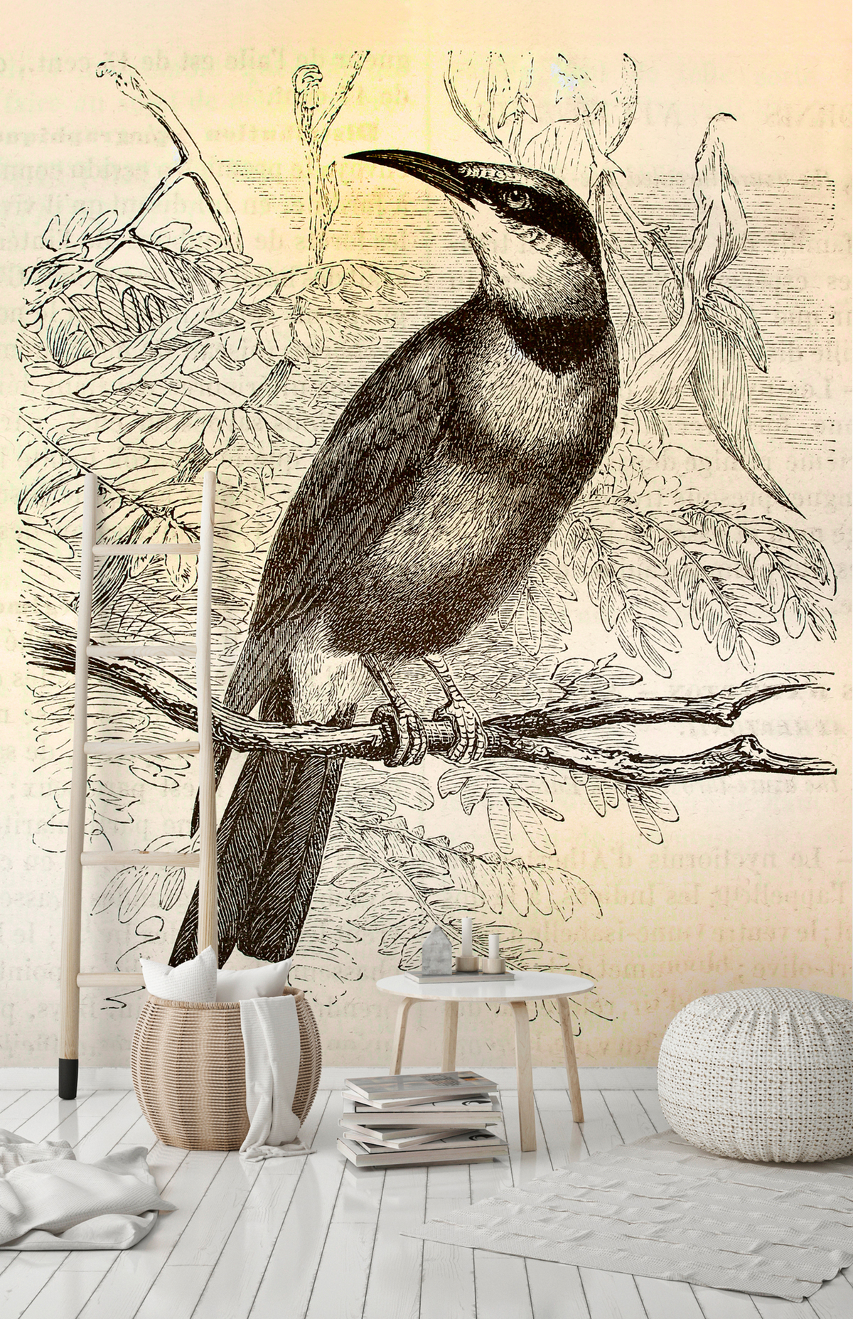 Papier peint panoramique Oiseau Vintage Birds 2 - Référence DD110436 - Intissé 200g/m2 - Standard 200 x 270