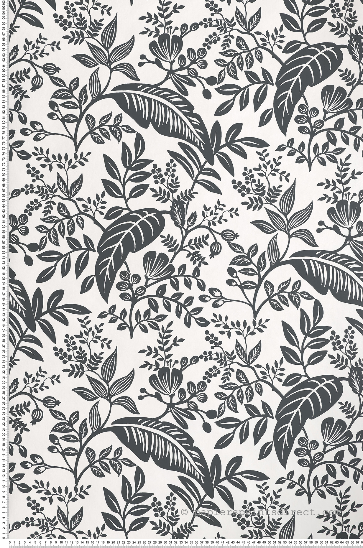 Papier peint Feuillages Canopy noir et blanc - Rifle Paper Co. d'Initiales | Réf. INI-RI5136