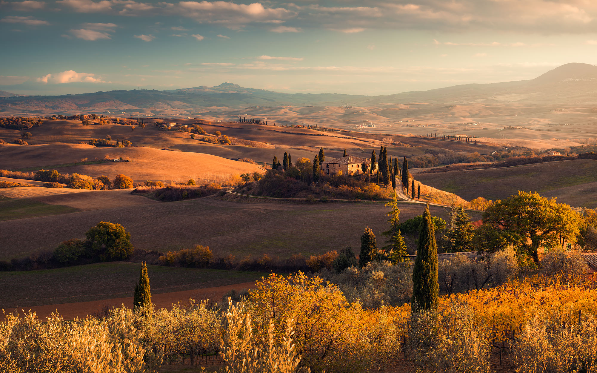 Panoramique Toskanagold - Papier peint Komar